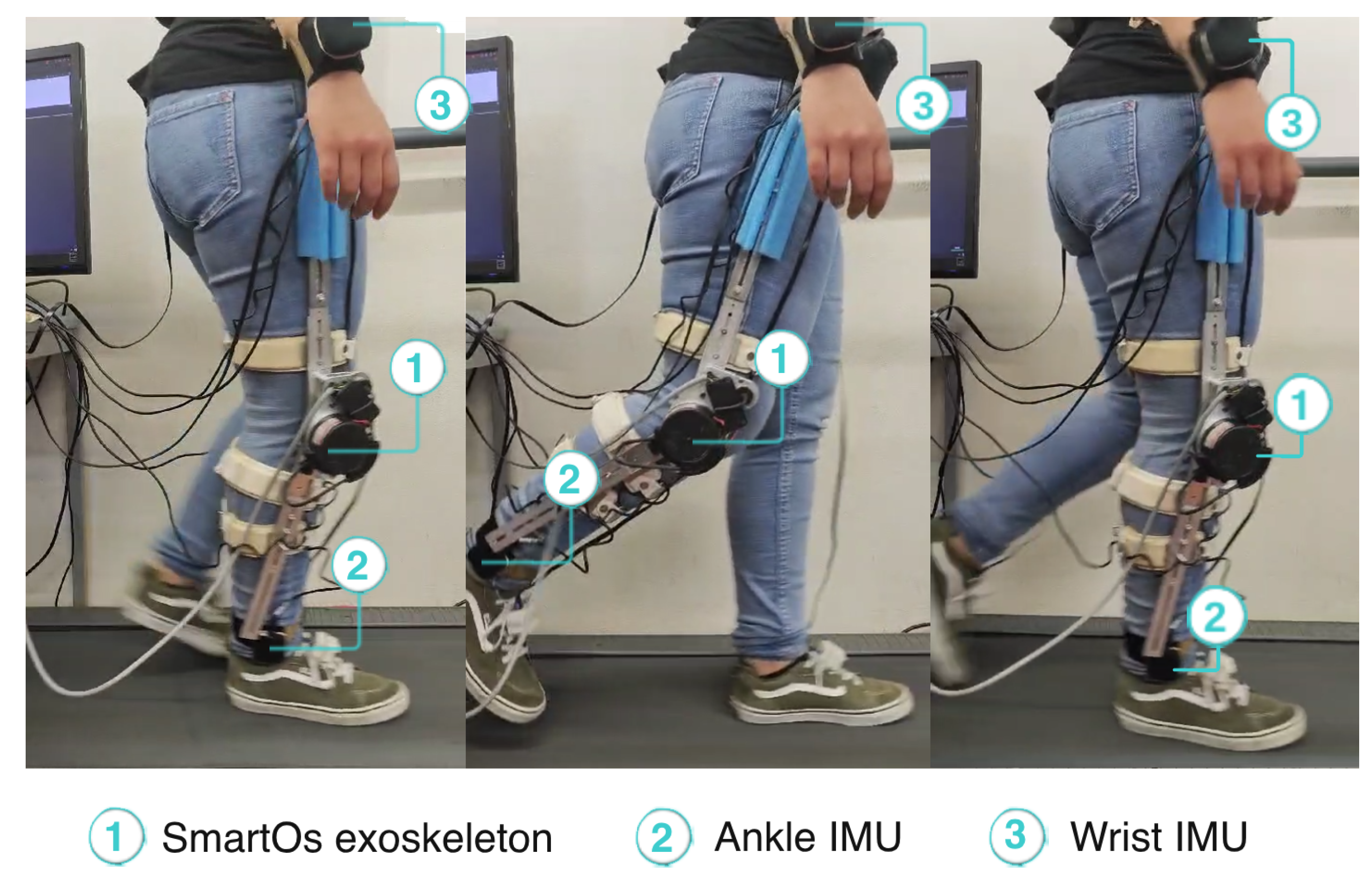 Preprints 102427 g005