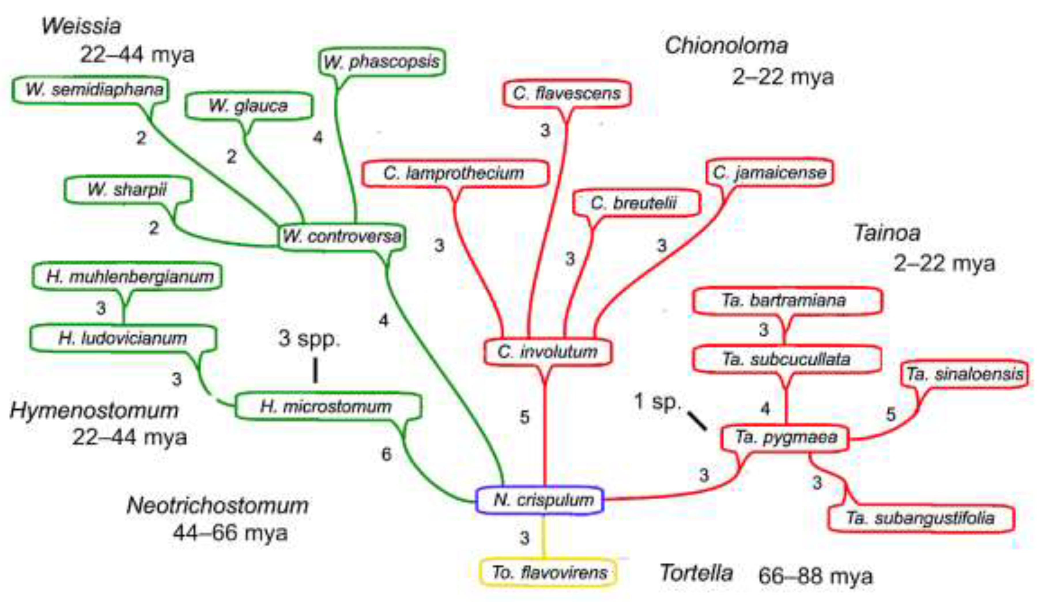 Preprints 147141 g001