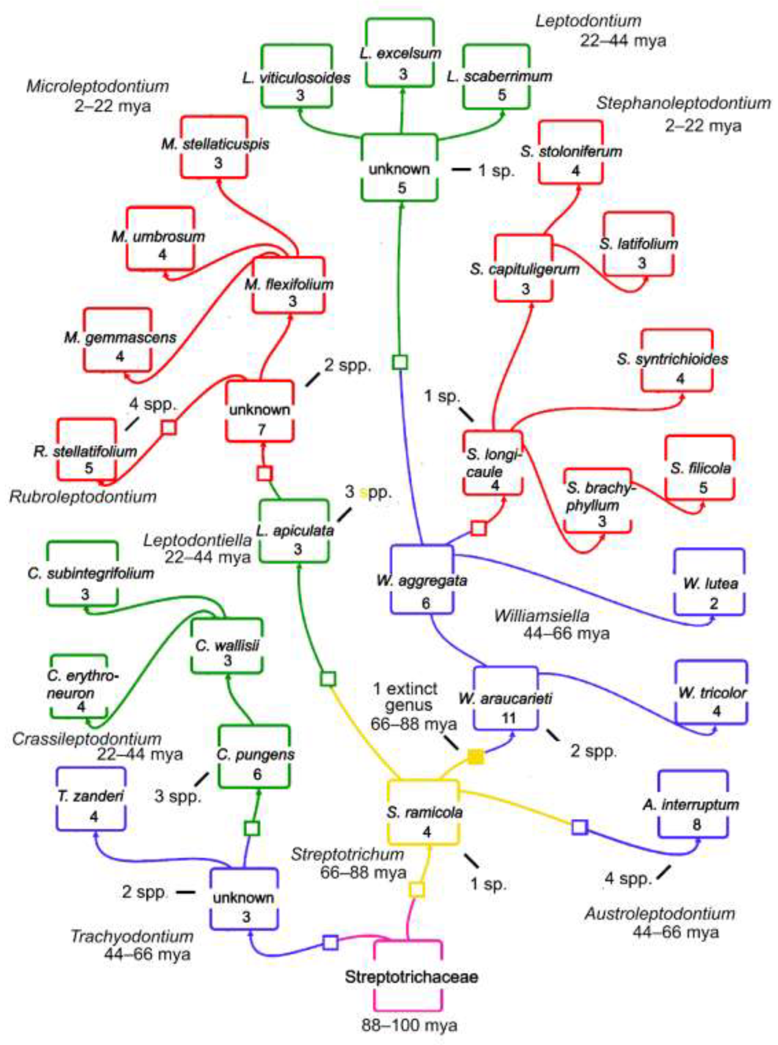 Preprints 147141 g002