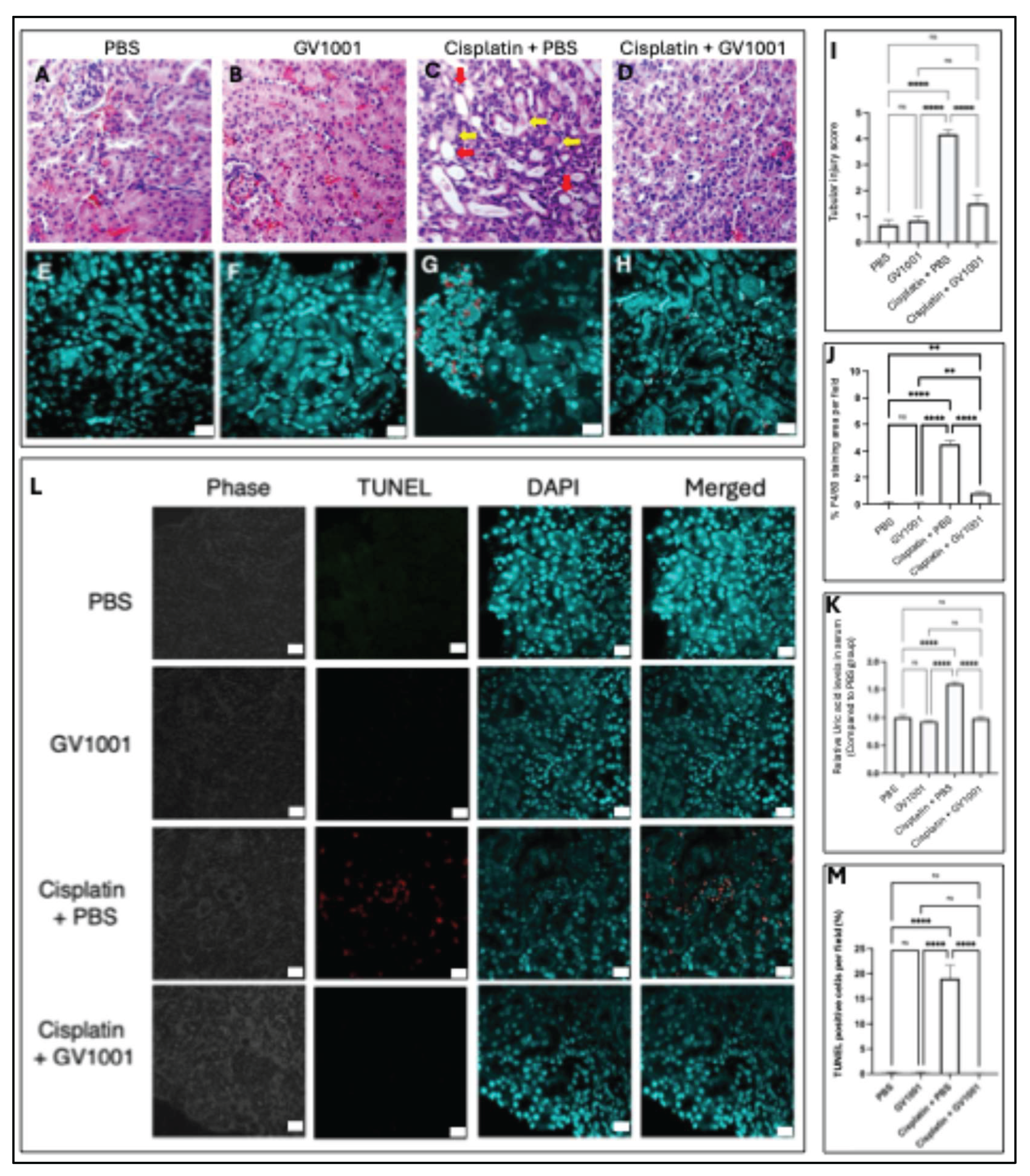 Preprints 176765 g001
