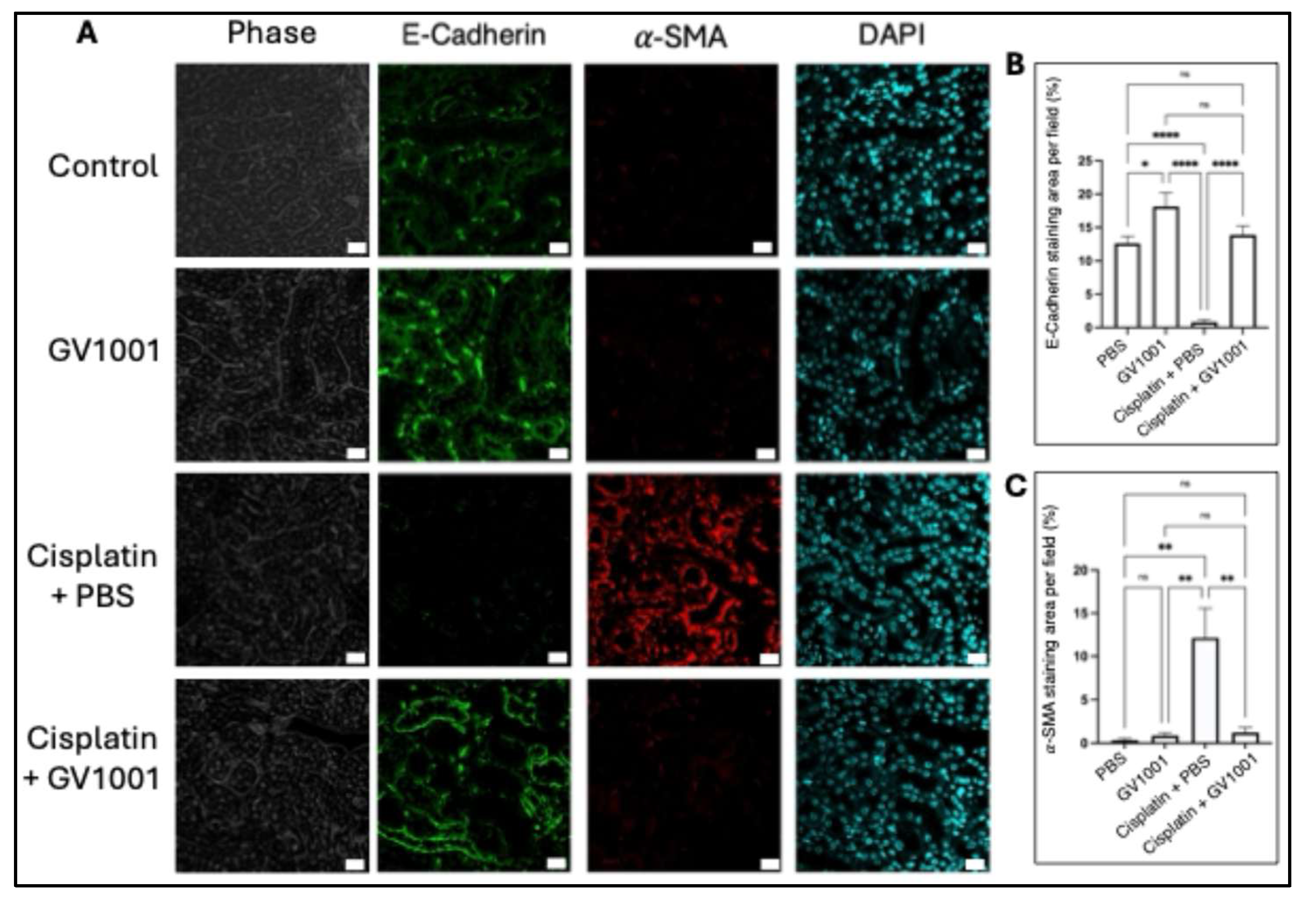 Preprints 176765 g003