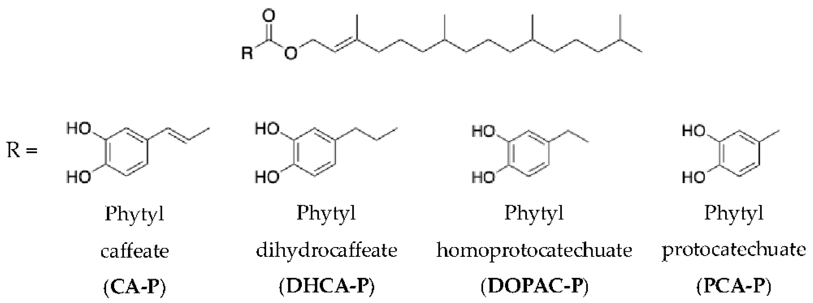 Preprints 148139 g001