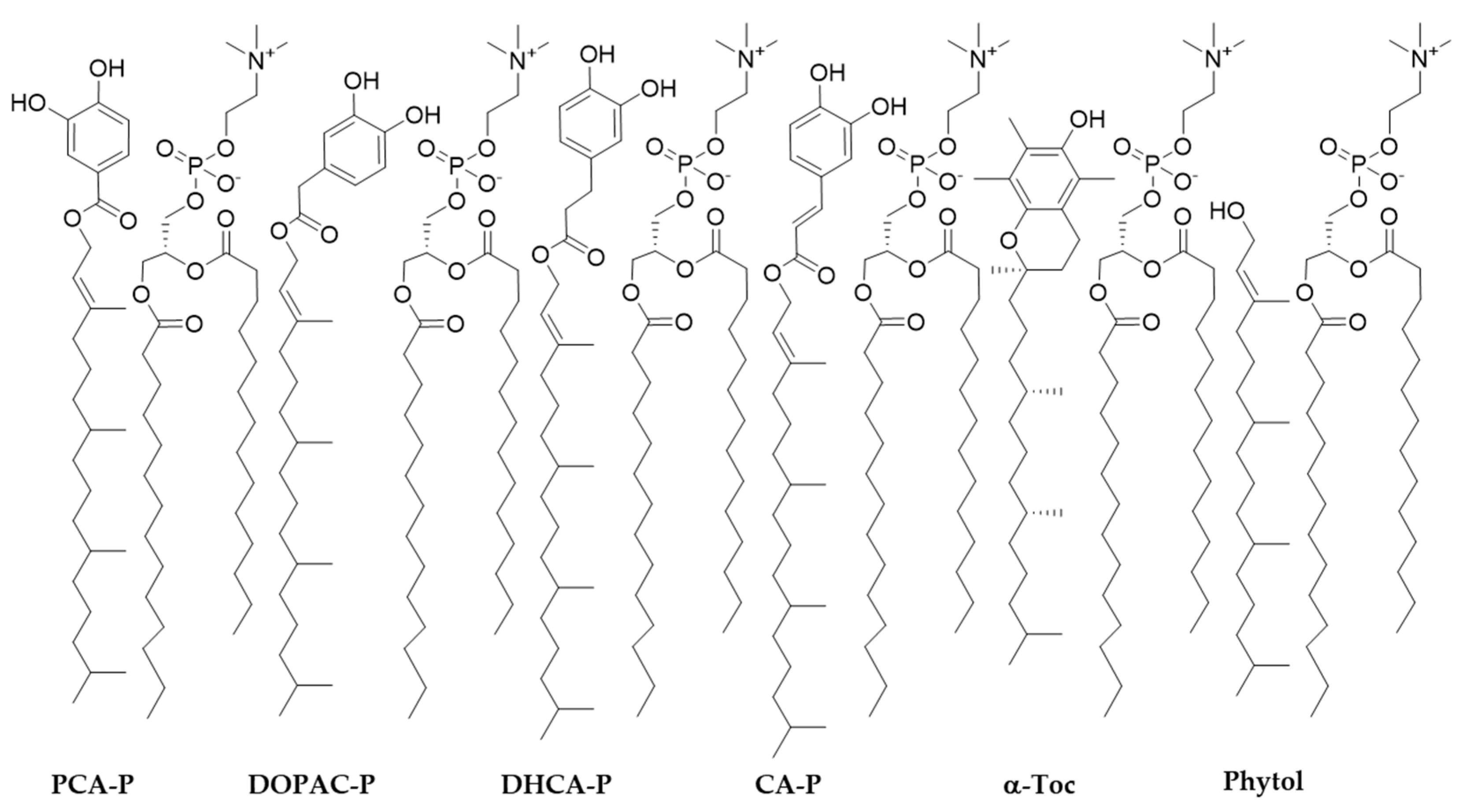 Preprints 148139 g005