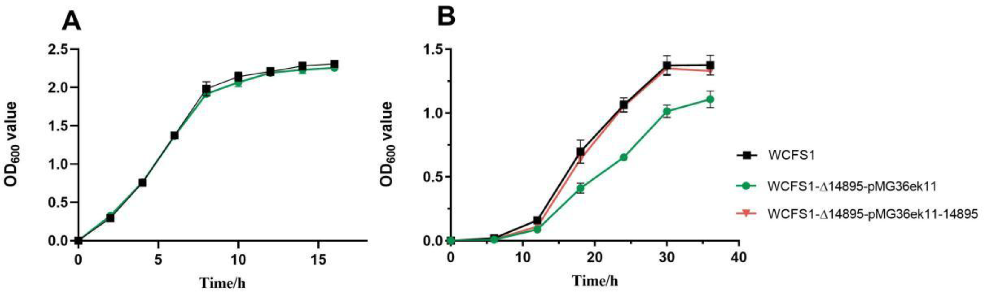 Preprints 186828 g001