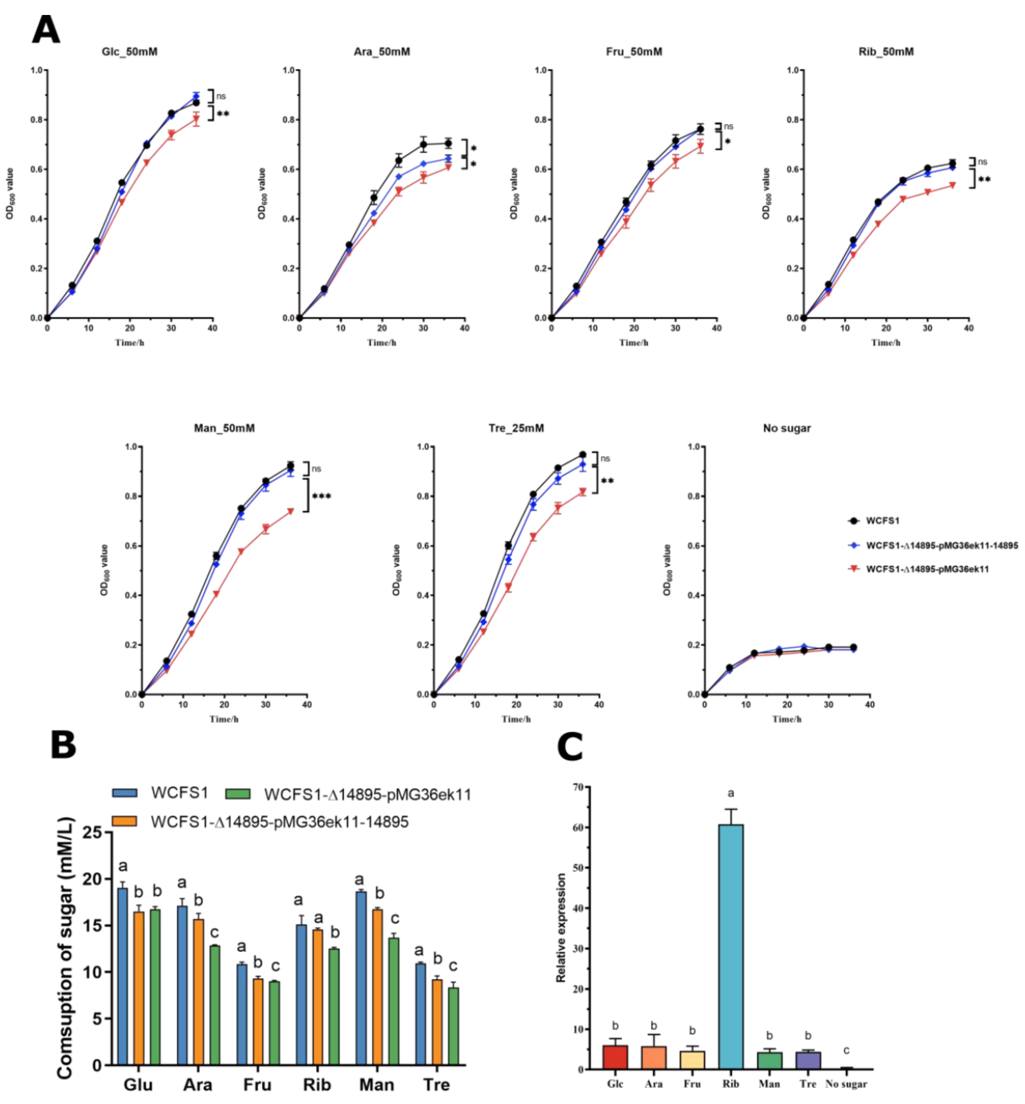 Preprints 186828 g002