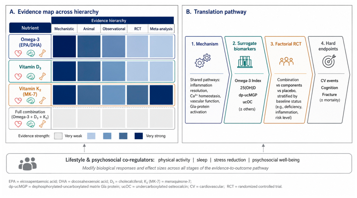 Preprints 221967 g004 Preprints 221967 g004