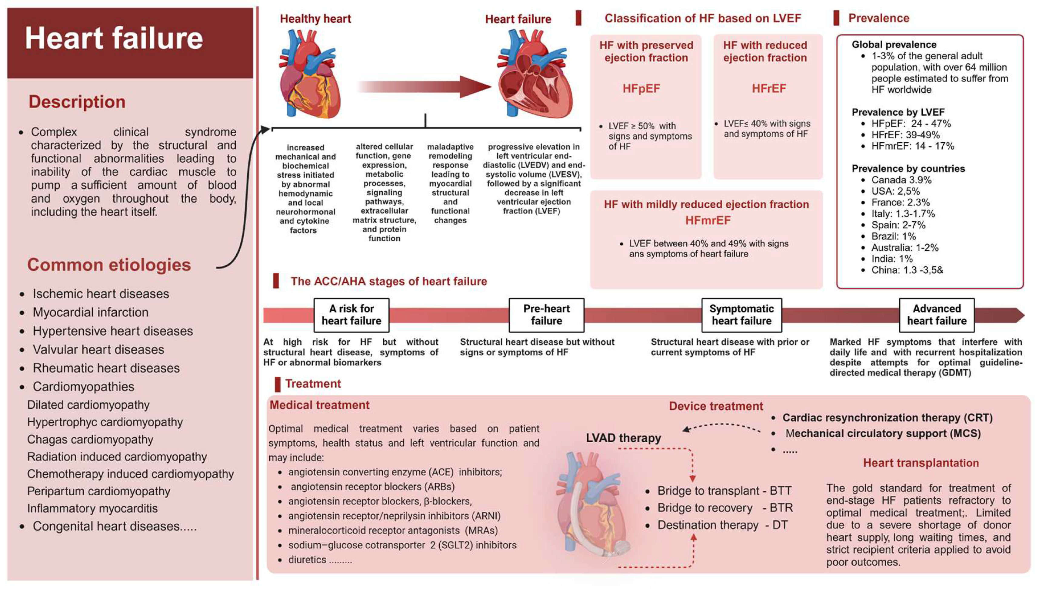 Preprints 148856 g001