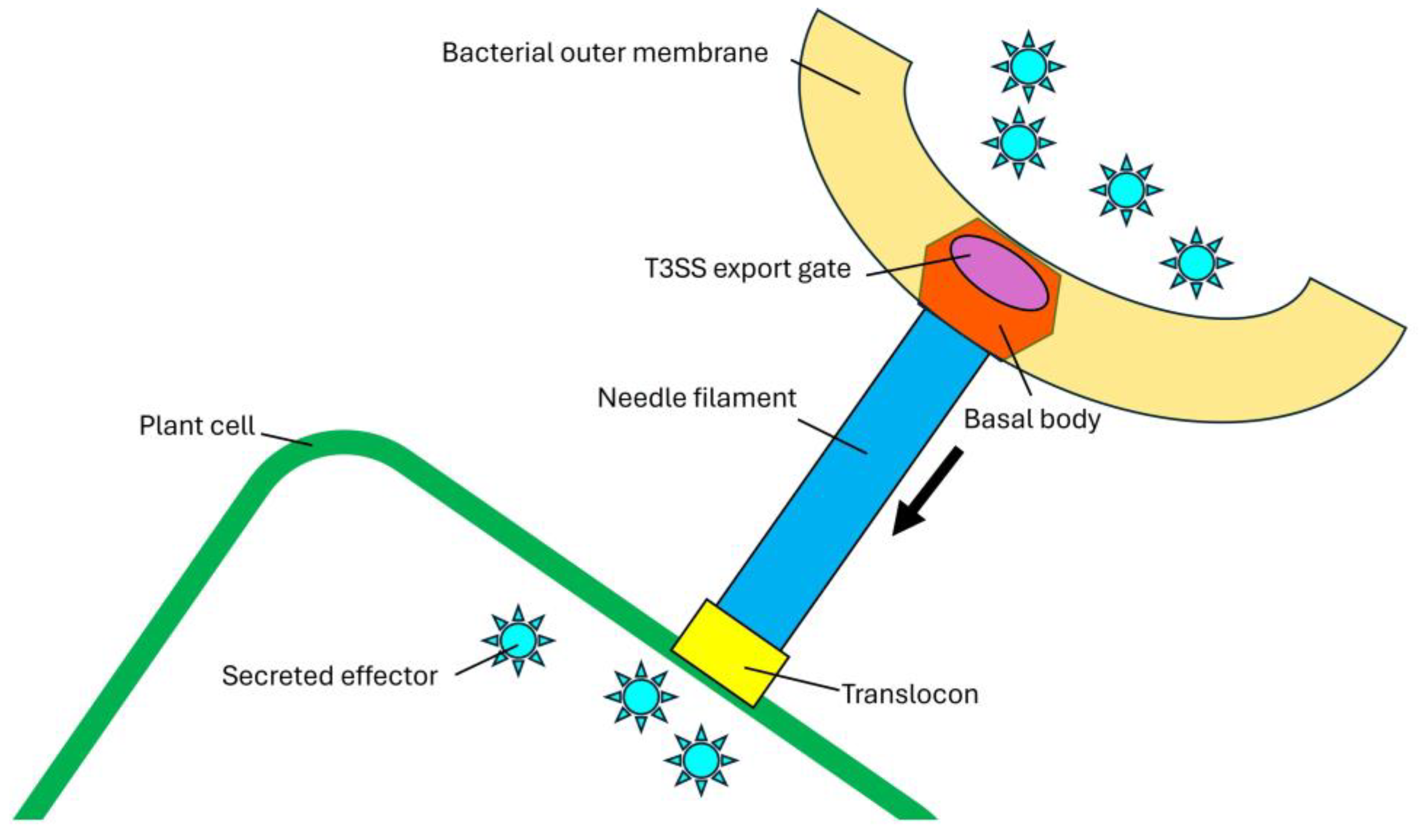 Preprints 188319 g002