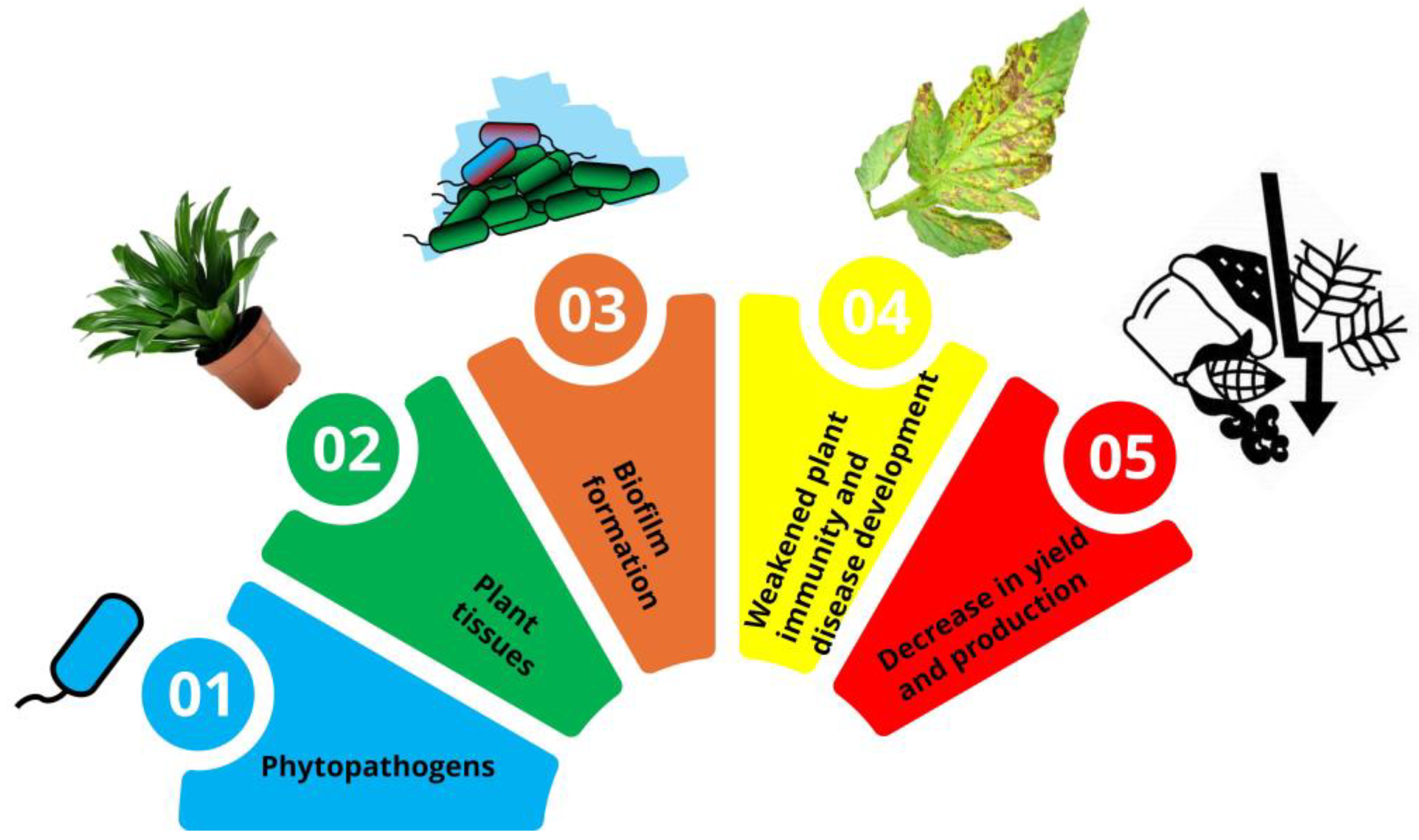 Preprints 188319 g003