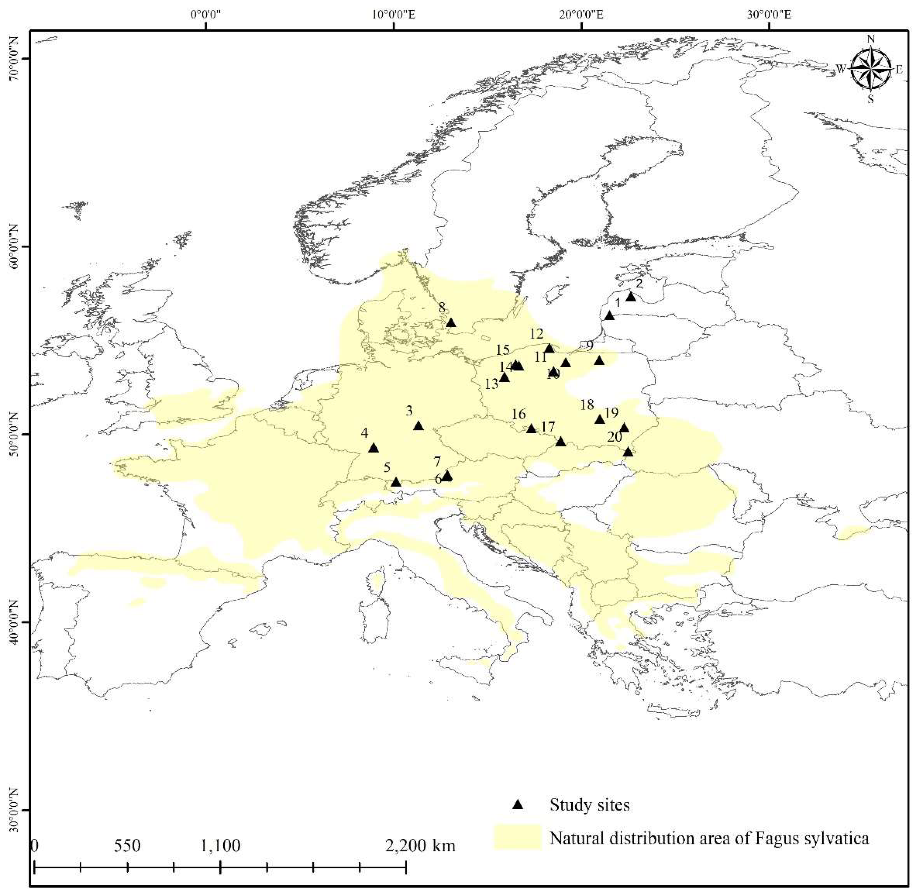 Preprints 141957 g001