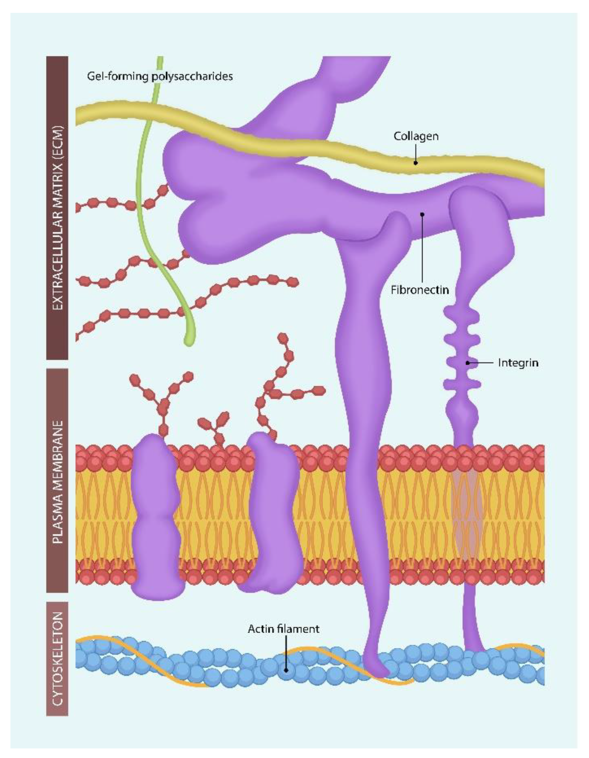 Preprints 143628 g001