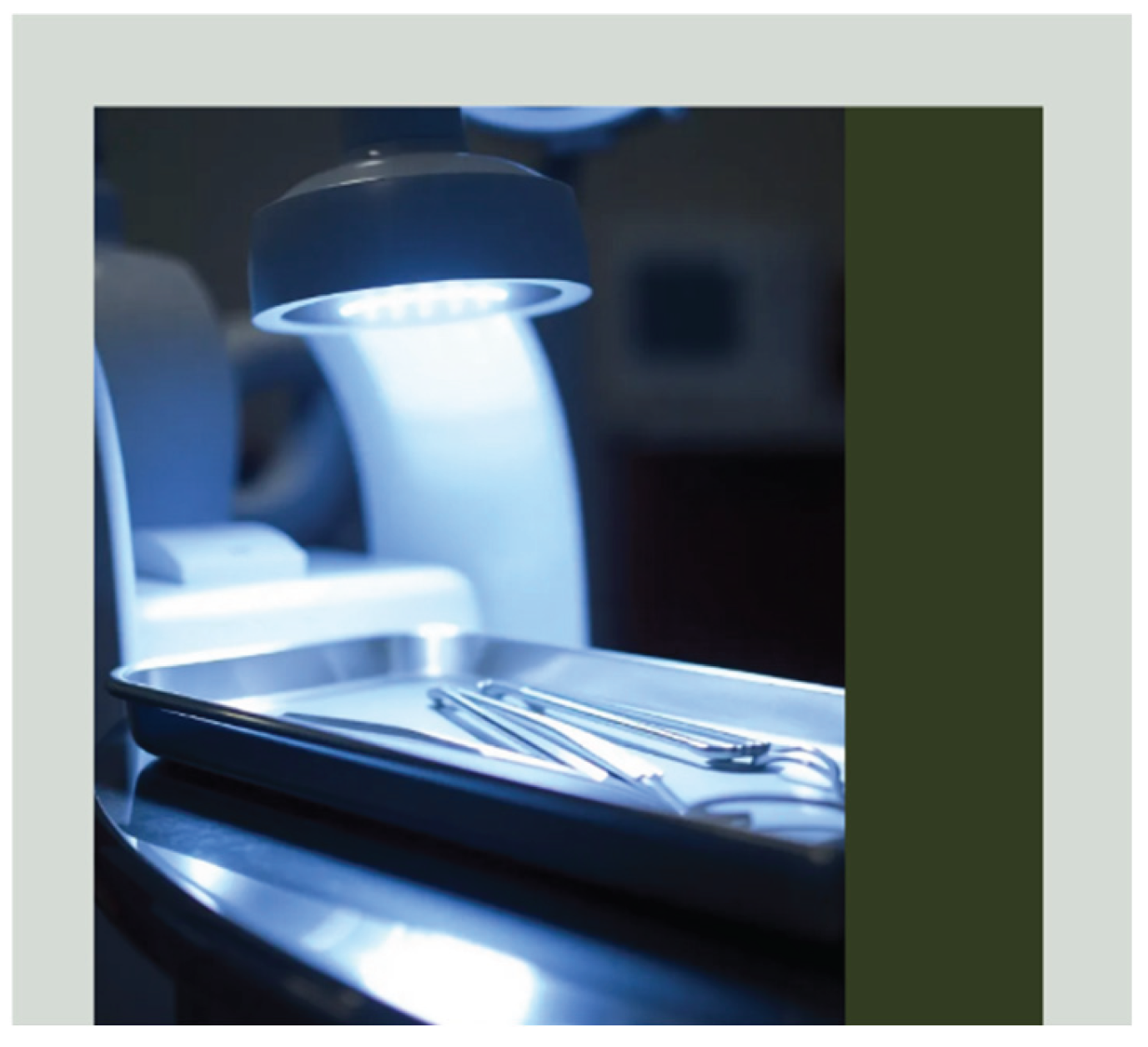 Preprints 179033 g001