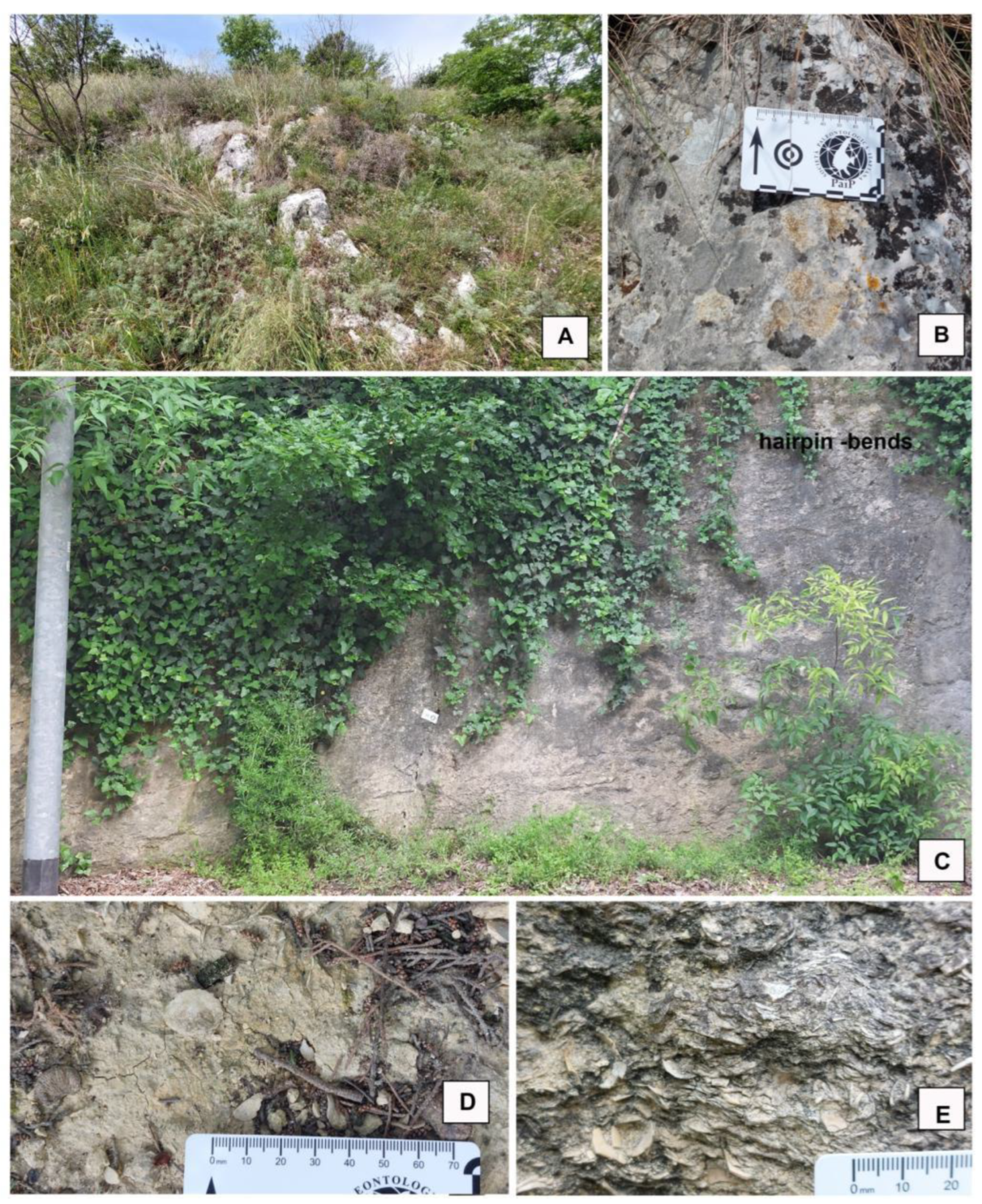 Preprints 164087 g002