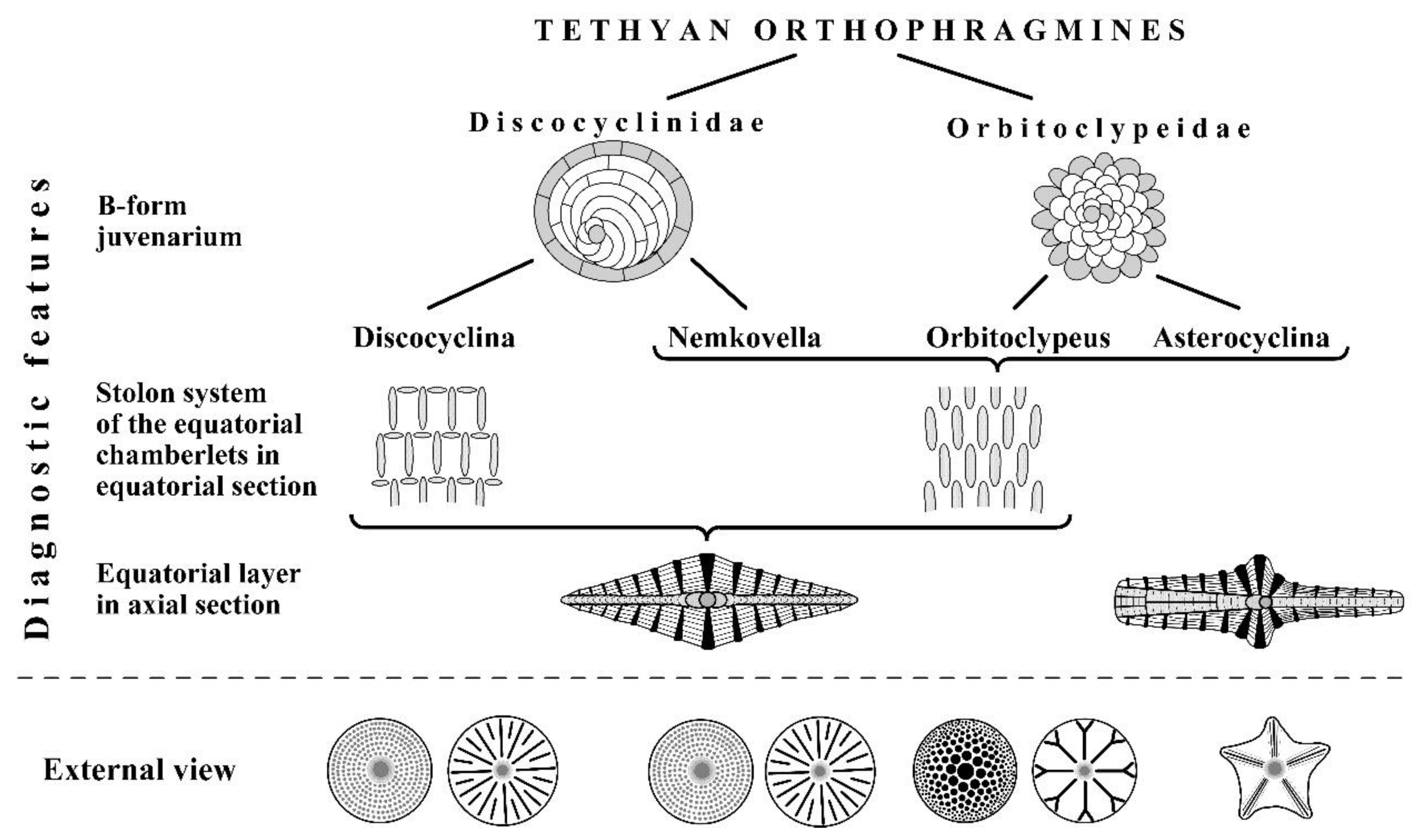 Preprints 164087 g003