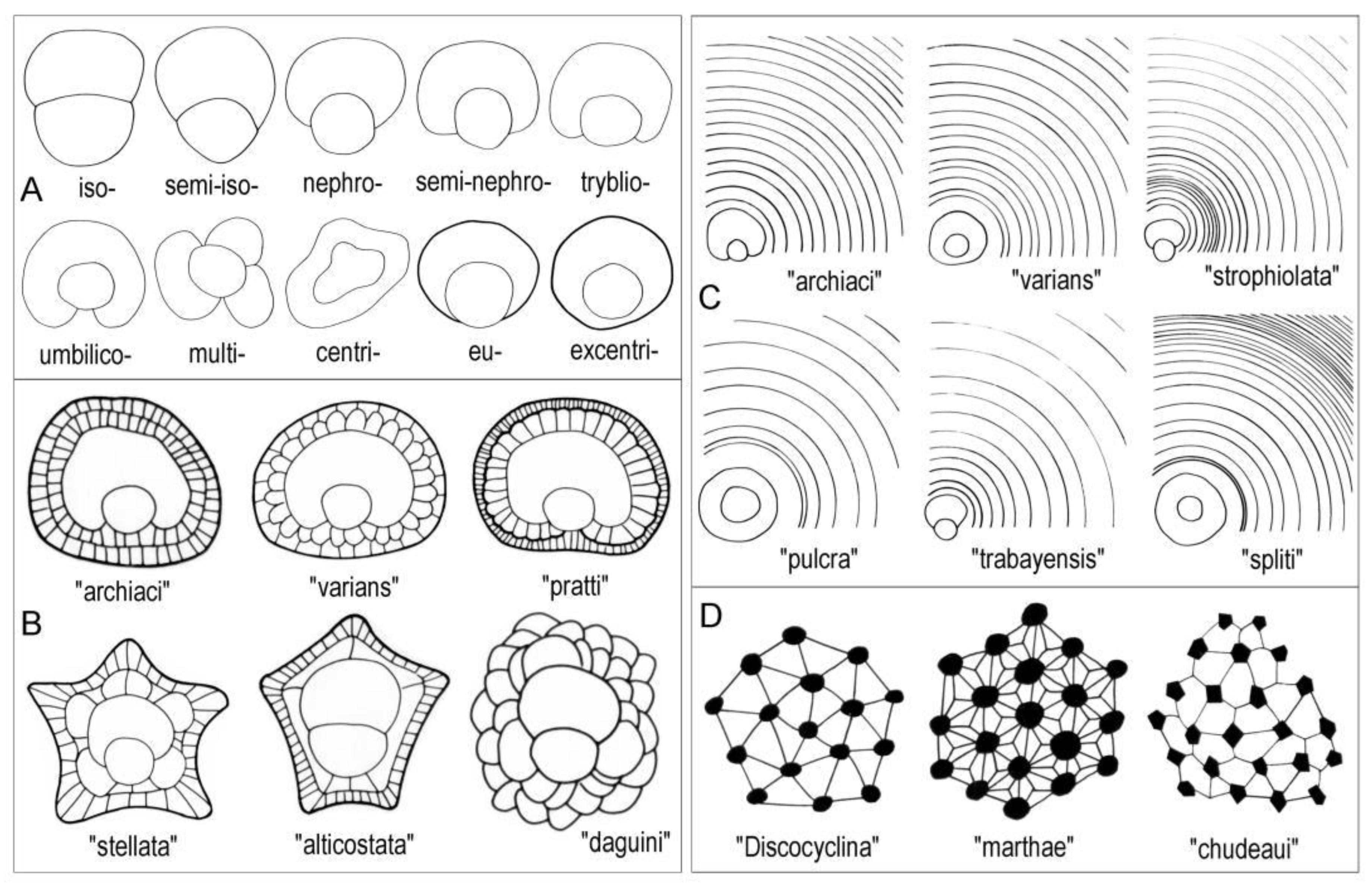 Preprints 164087 g004