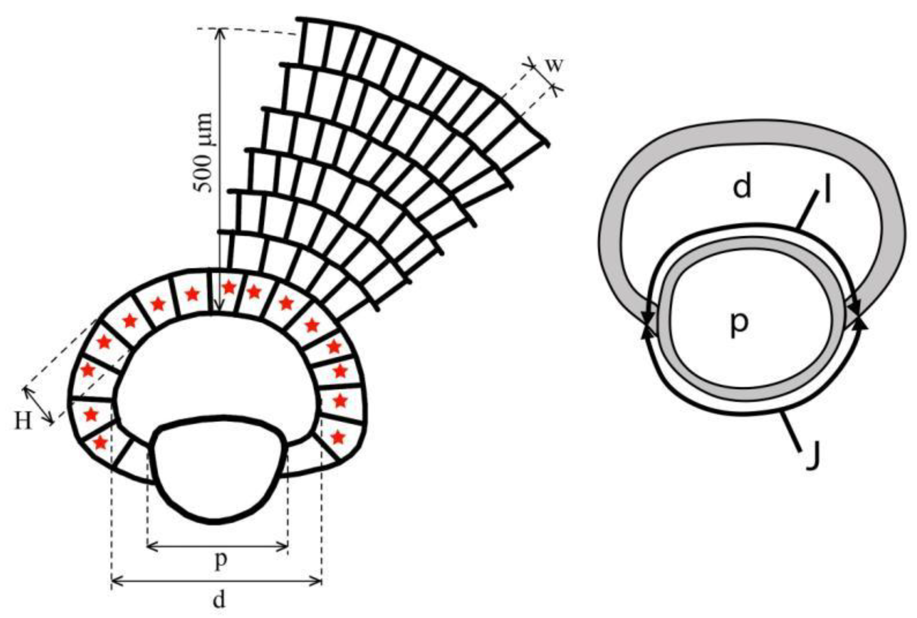 Preprints 164087 g005