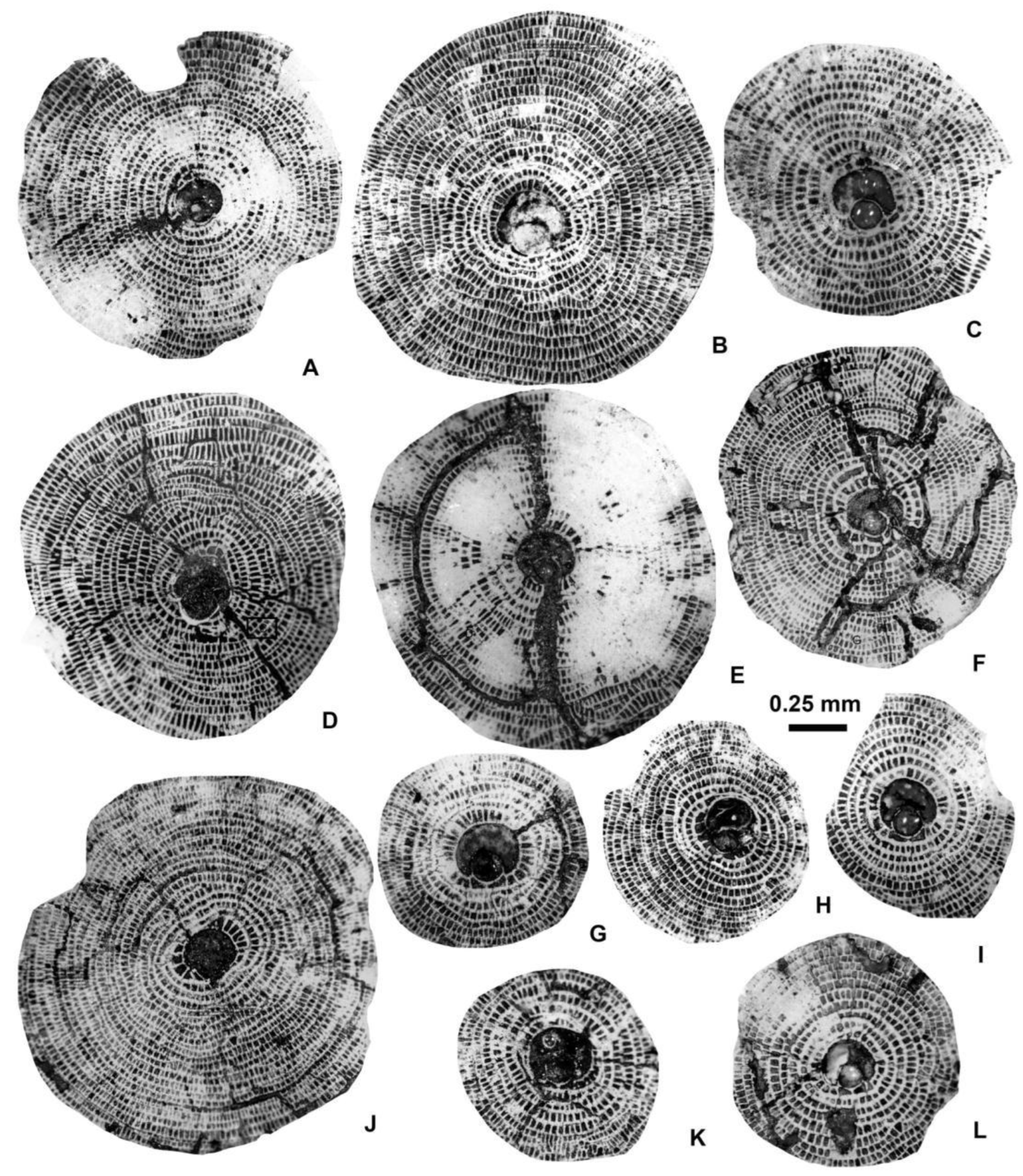 Preprints 164087 g008