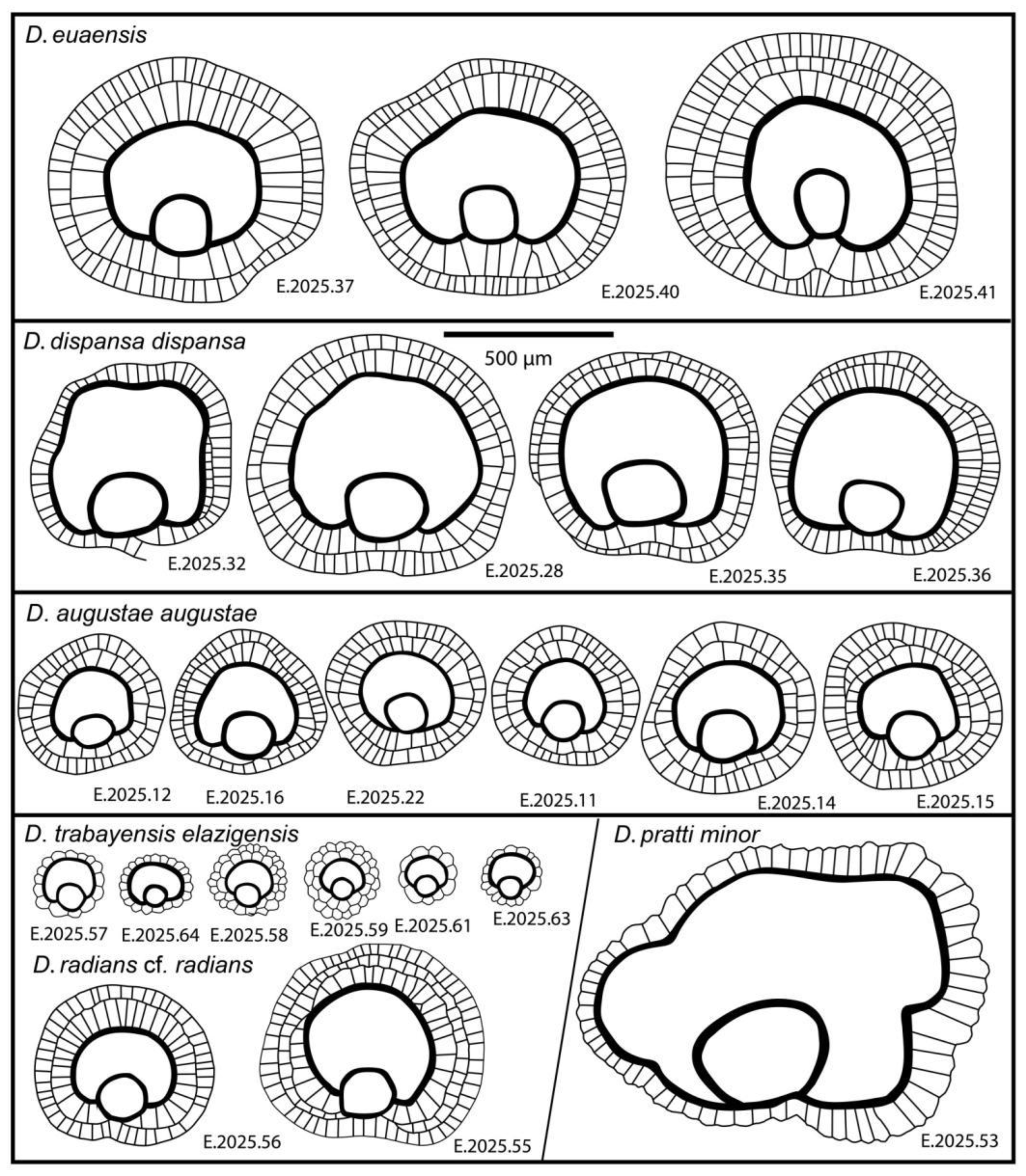 Preprints 164087 g009