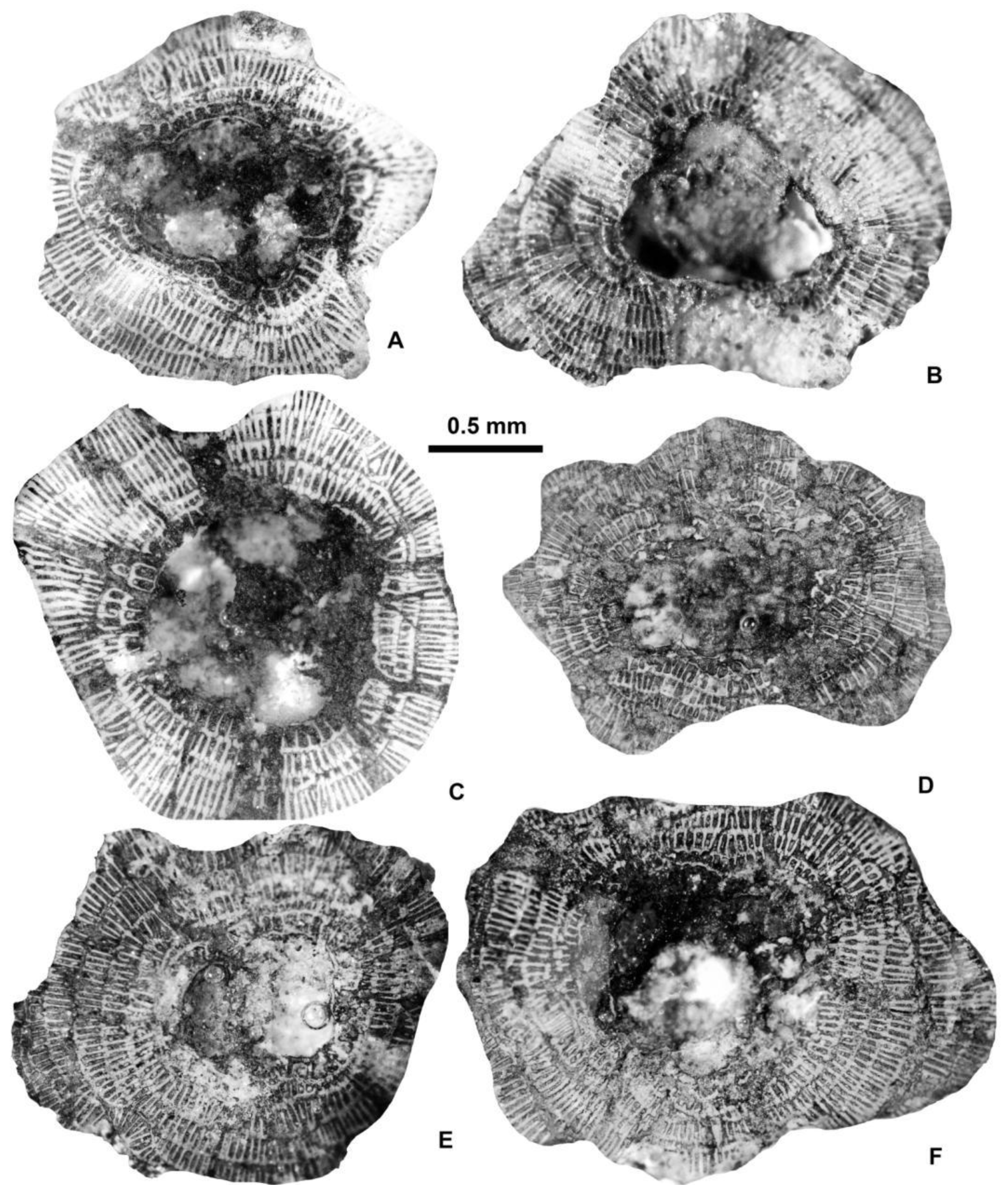 Preprints 164087 g015