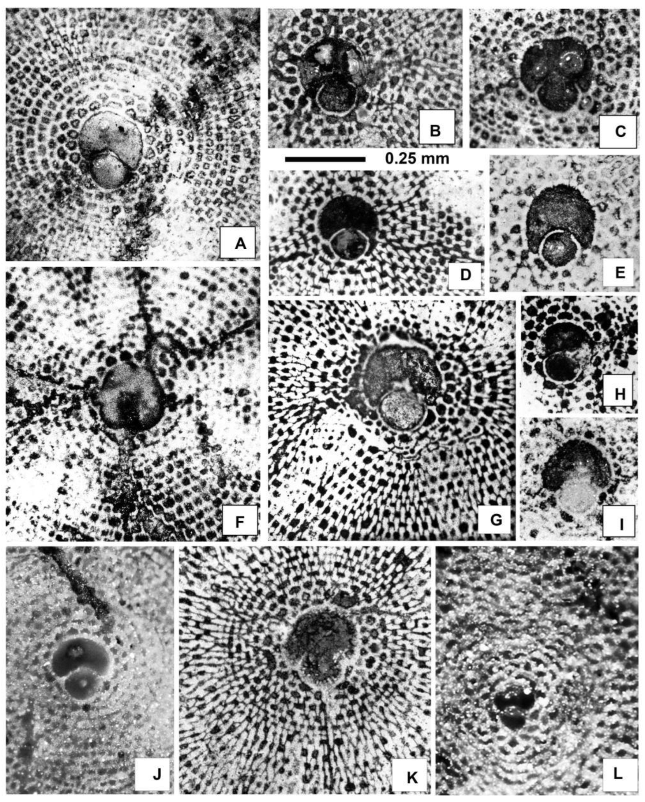 Preprints 164087 g018