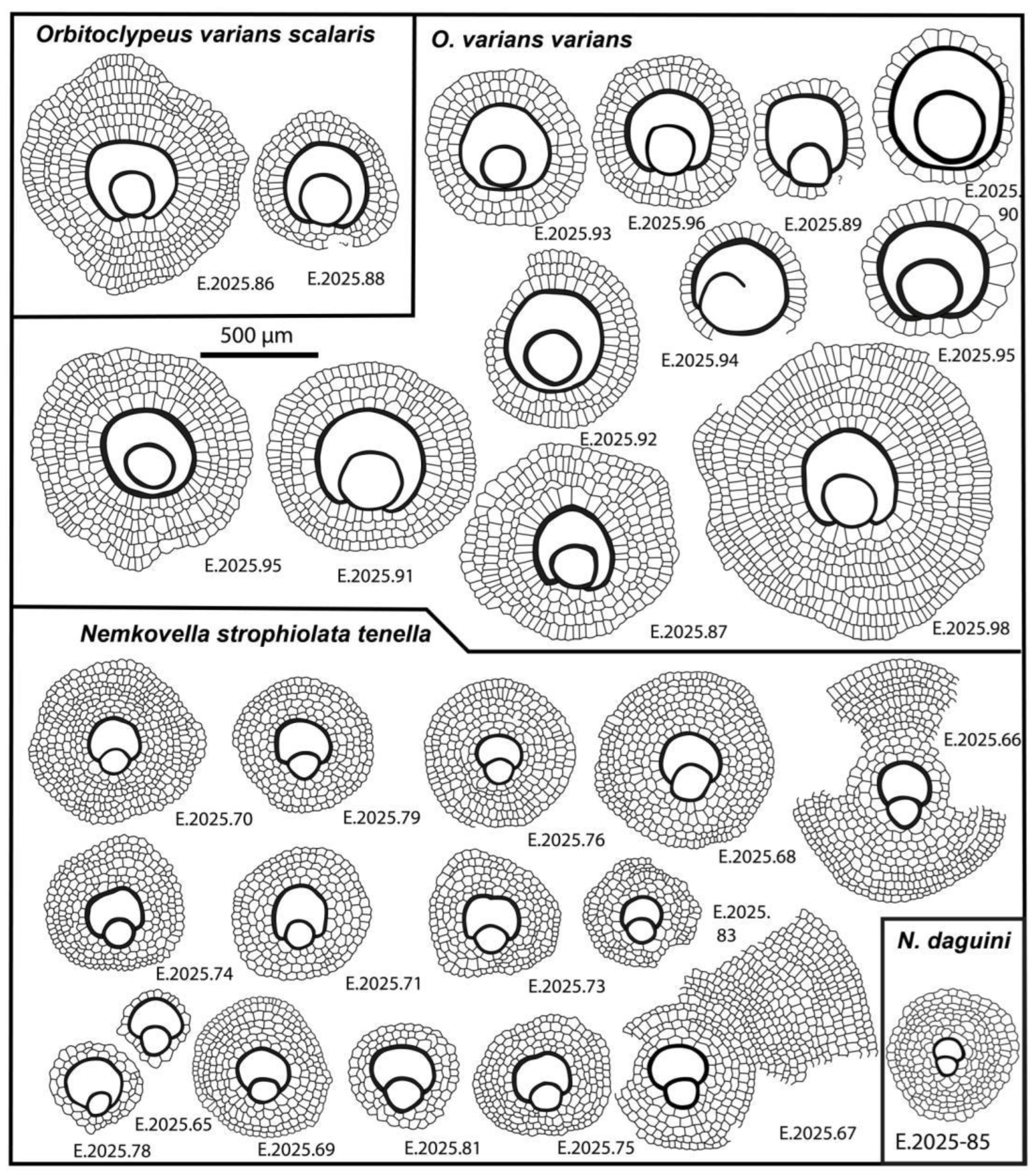 Preprints 164087 g019