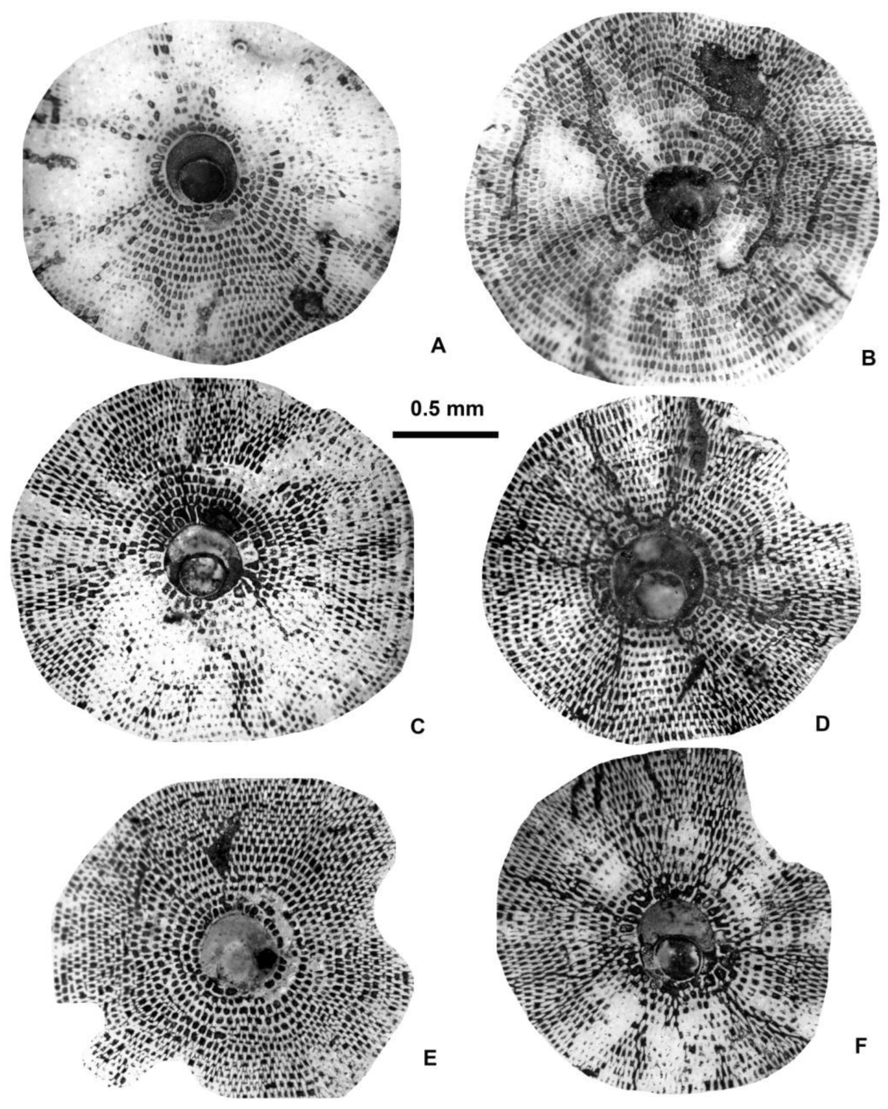 Preprints 164087 g021