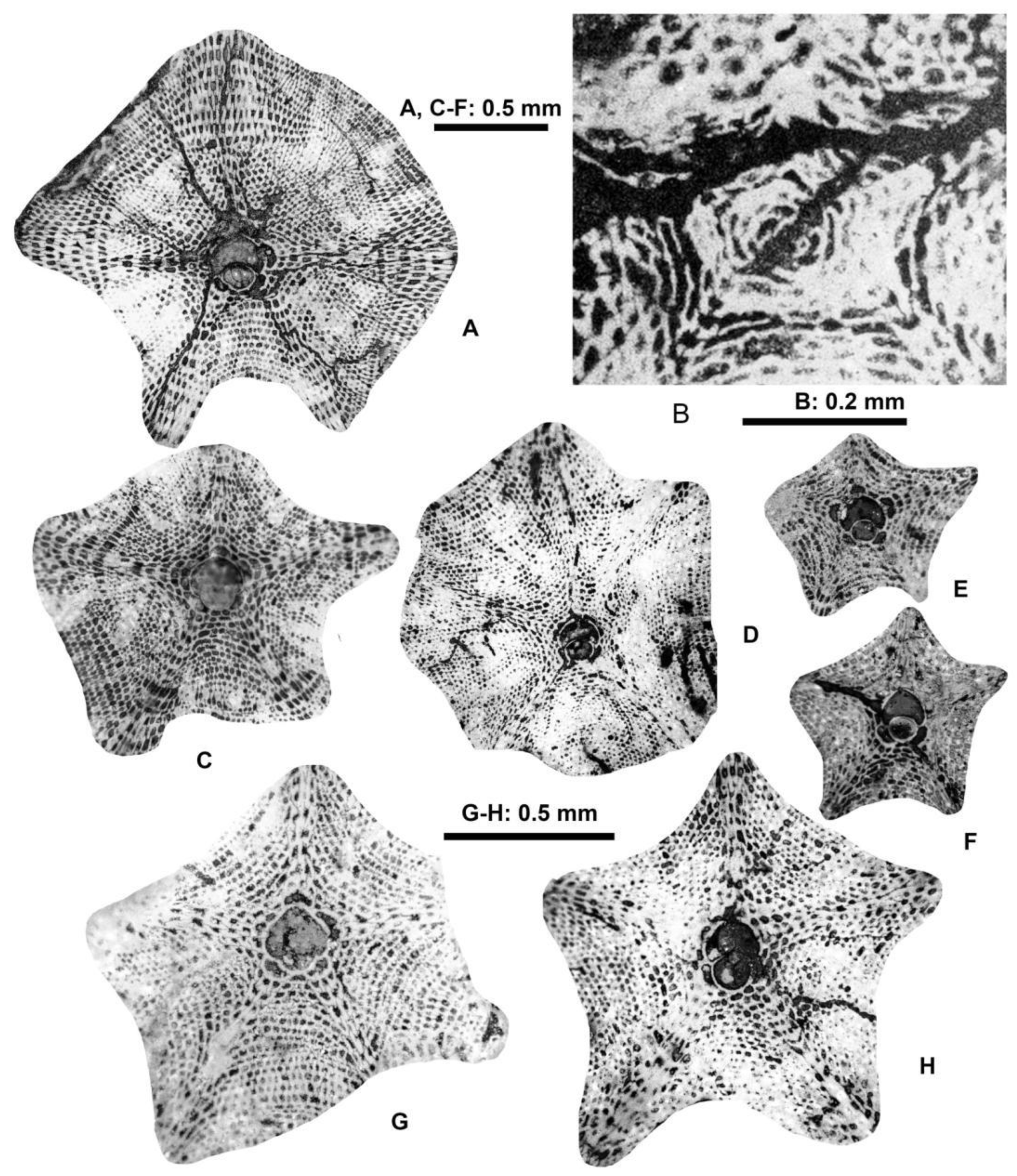 Preprints 164087 g025