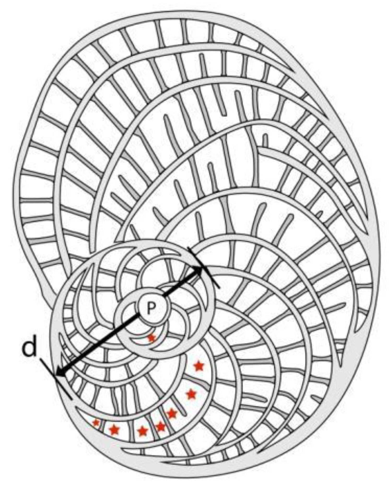 Preprints 164087 g031