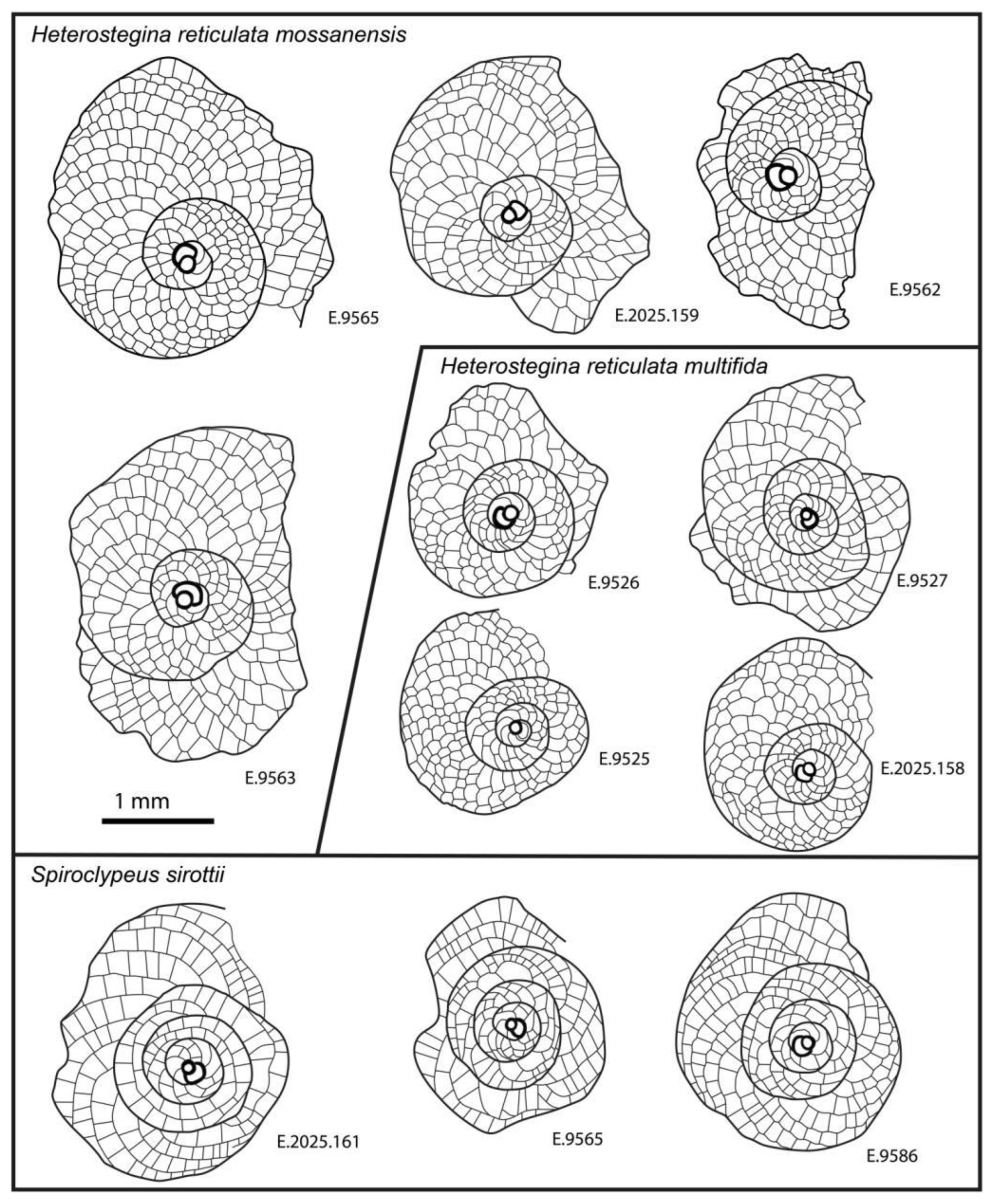 Preprints 164087 g034