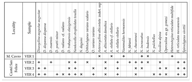 Preprints 164087 i001