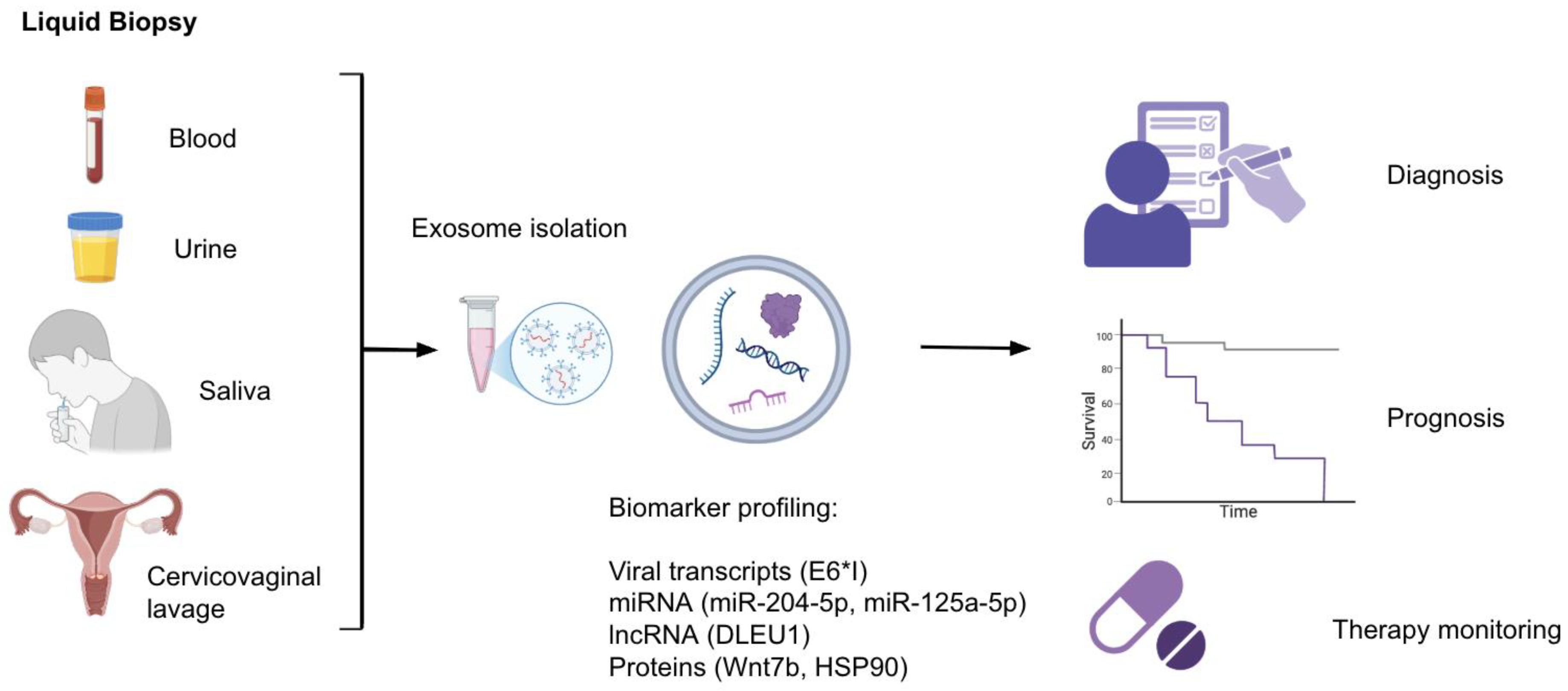 Preprints 169606 g001