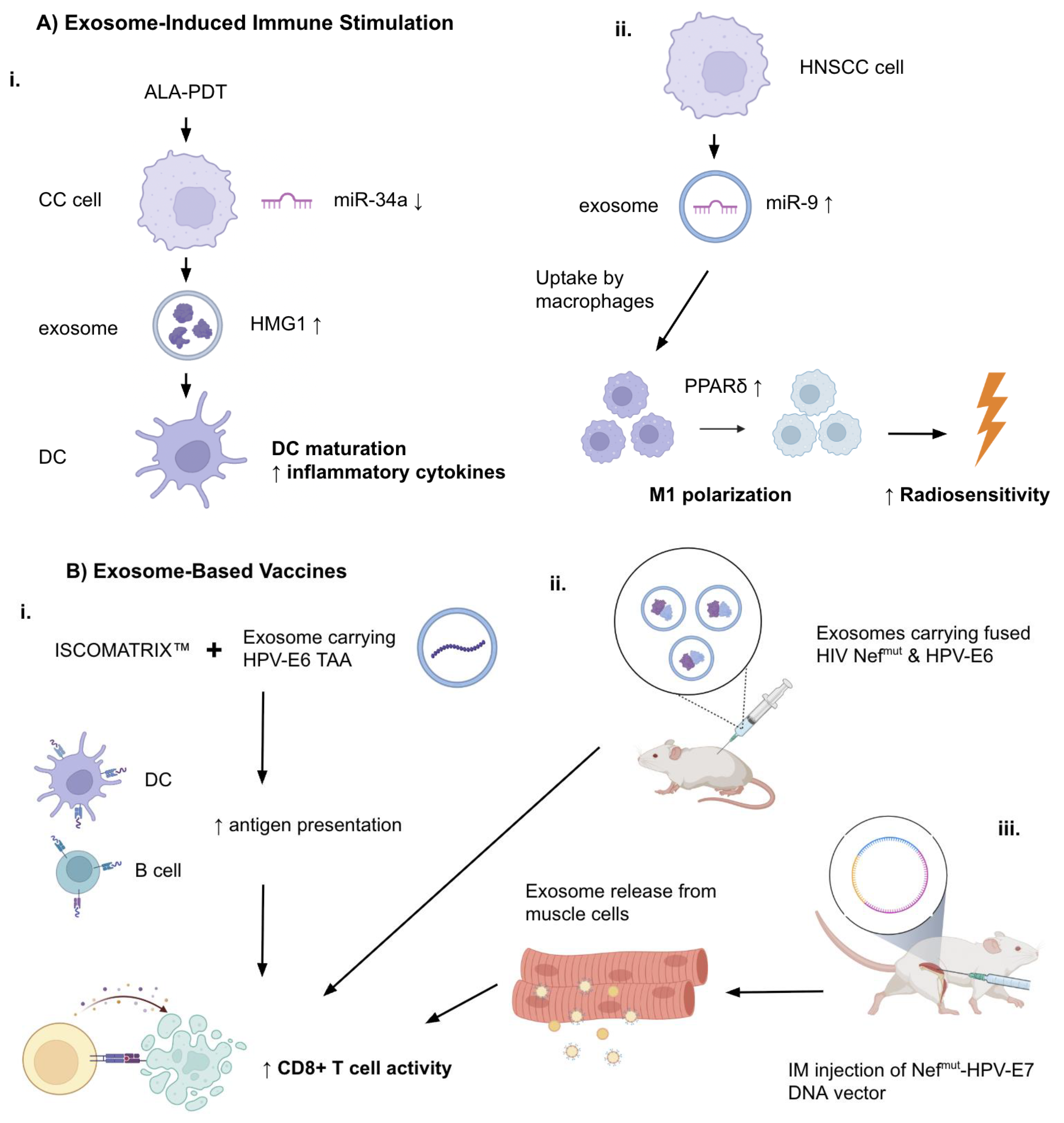 Preprints 169606 g002a