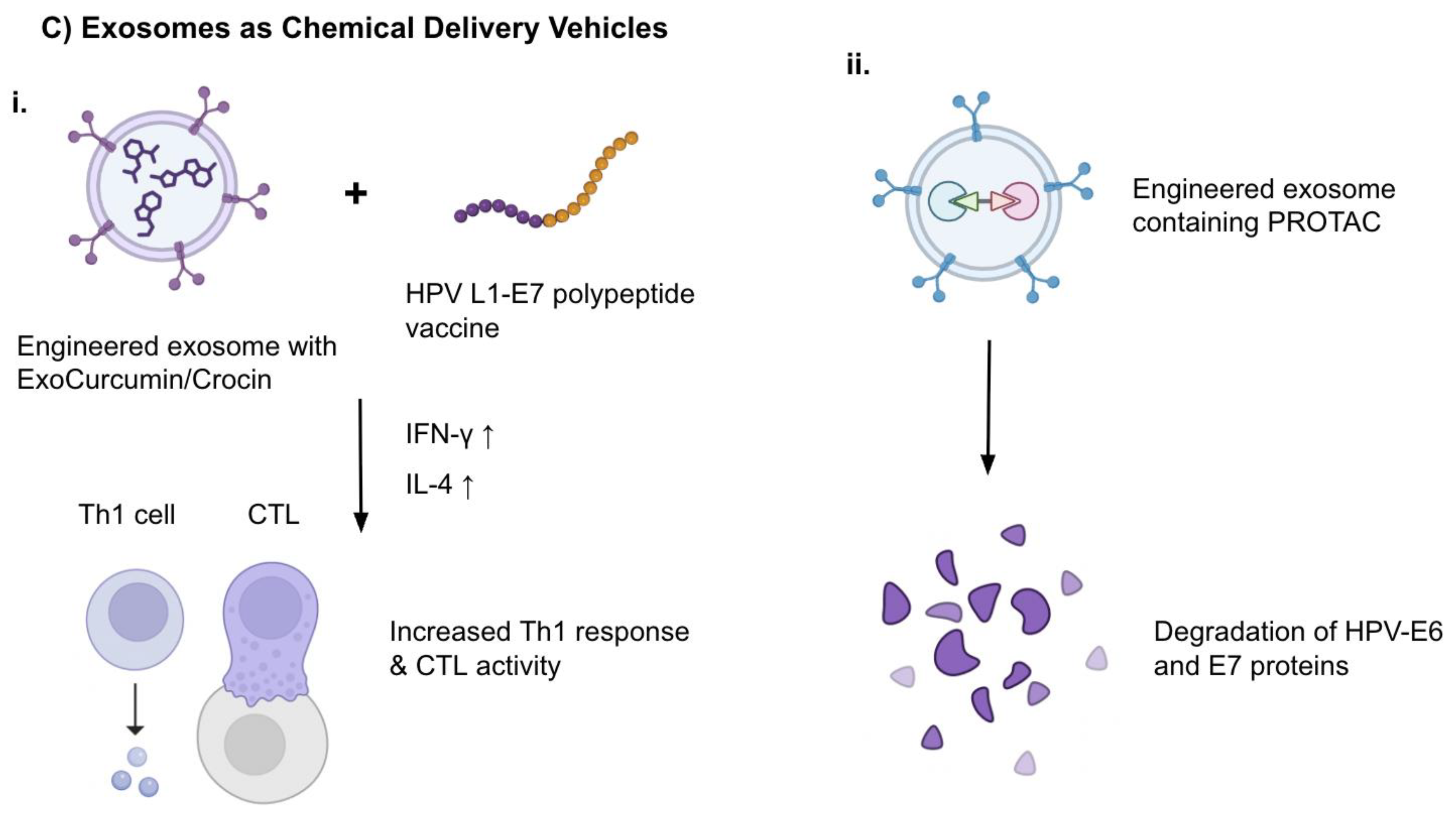 Preprints 169606 g002b