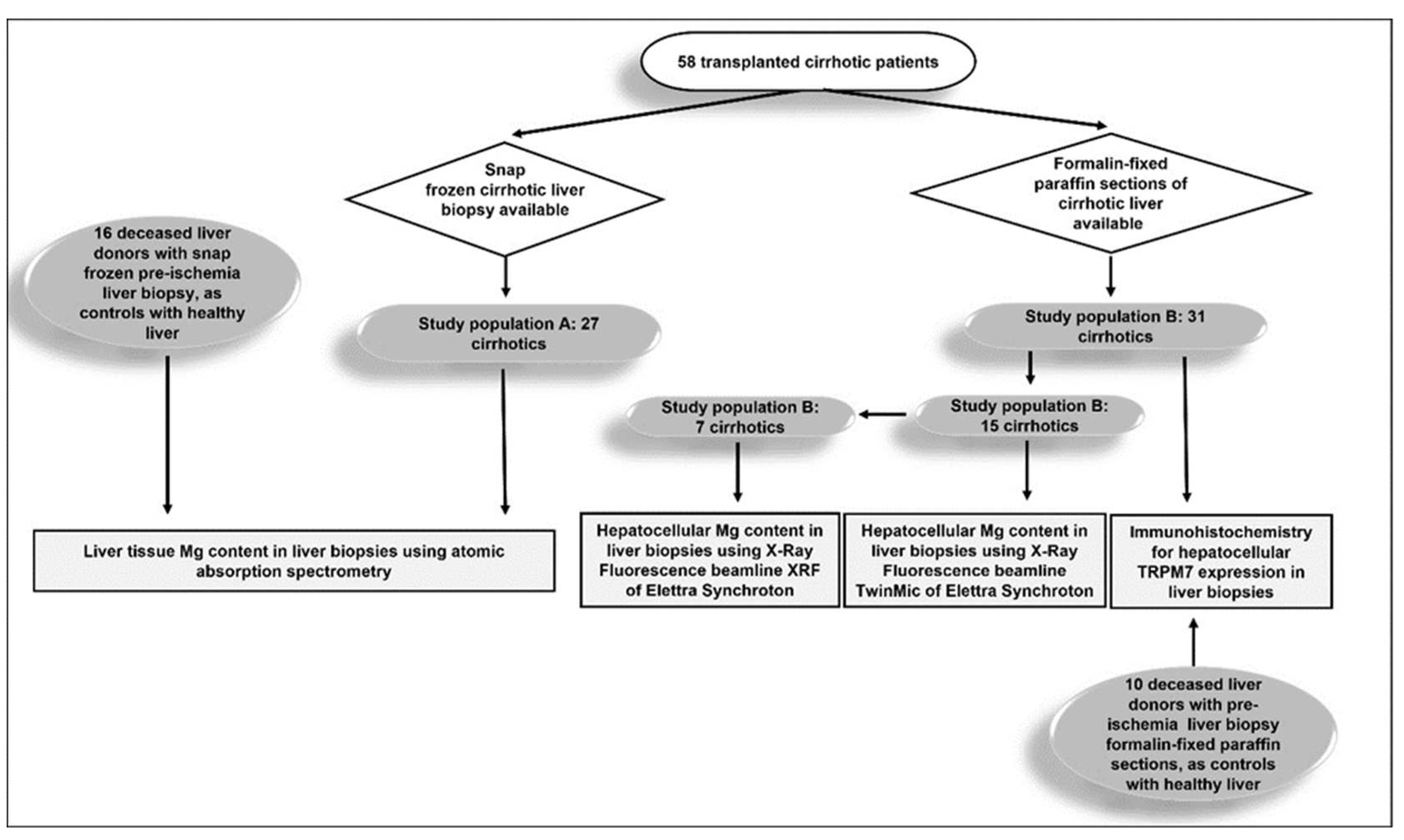 Preprints 73496 g001