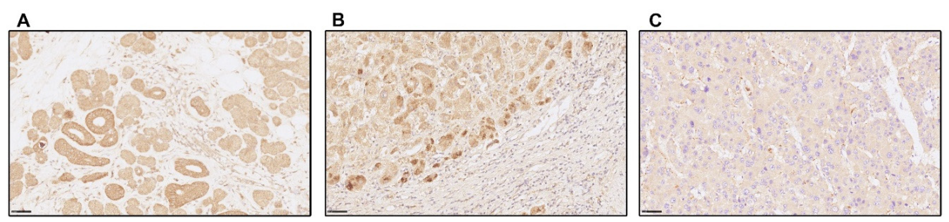 Preprints 73496 g003