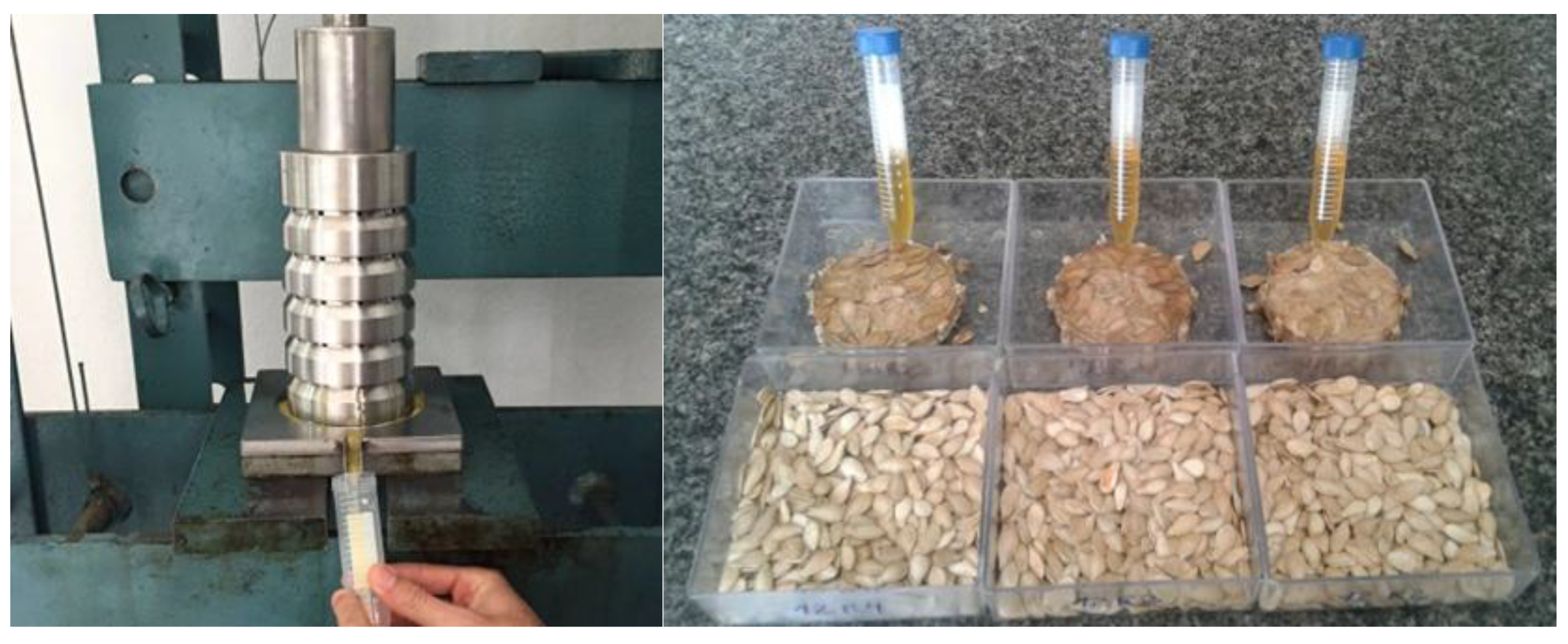 Preprints 163139 g002