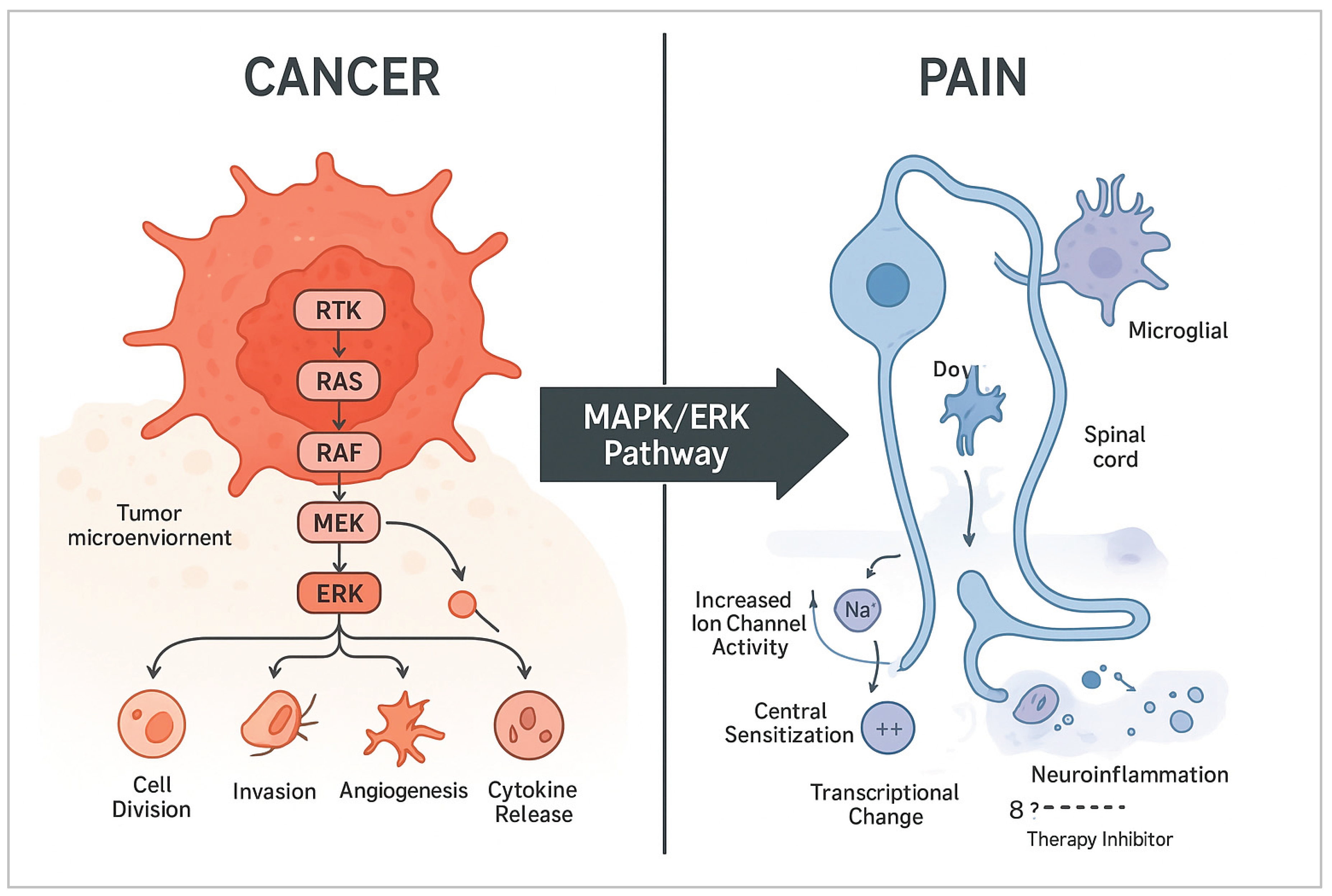 Preprints 189653 g002
