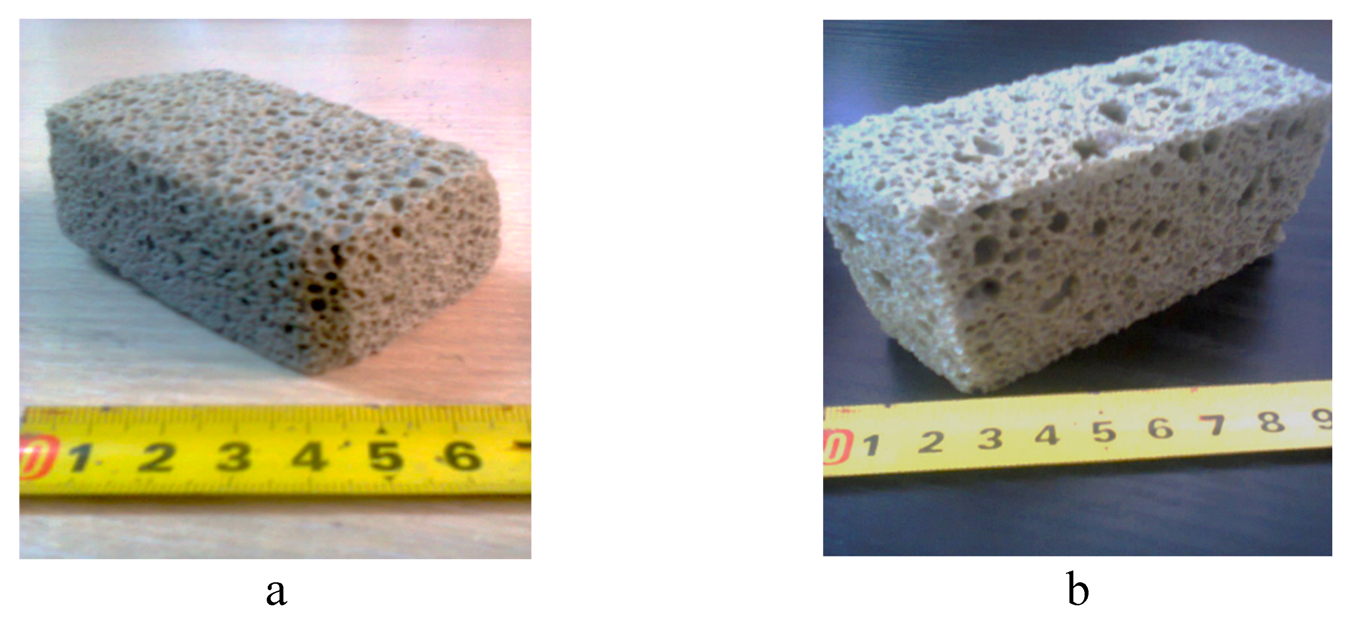 Preprints 152069 g001a