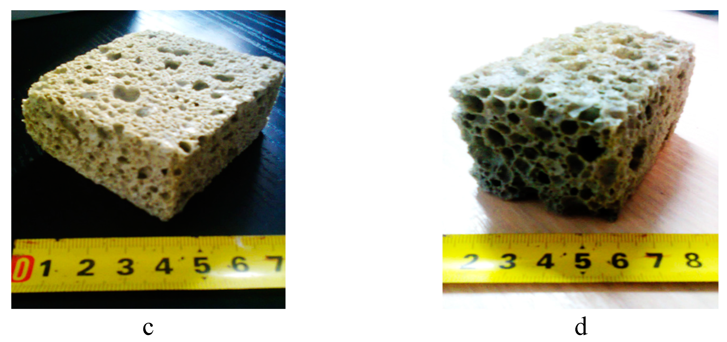 Preprints 152069 g001b