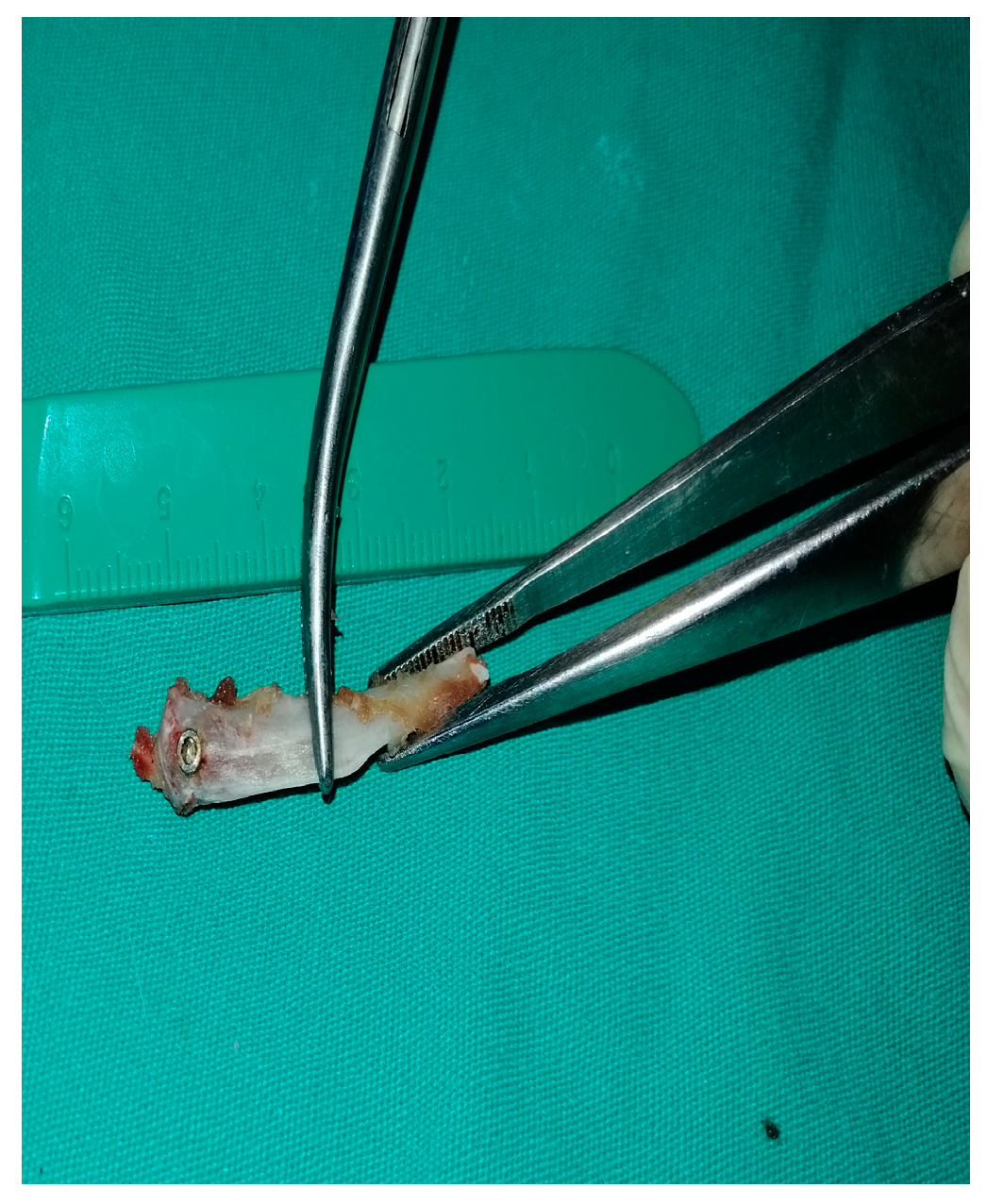 Preprints 140426 g001