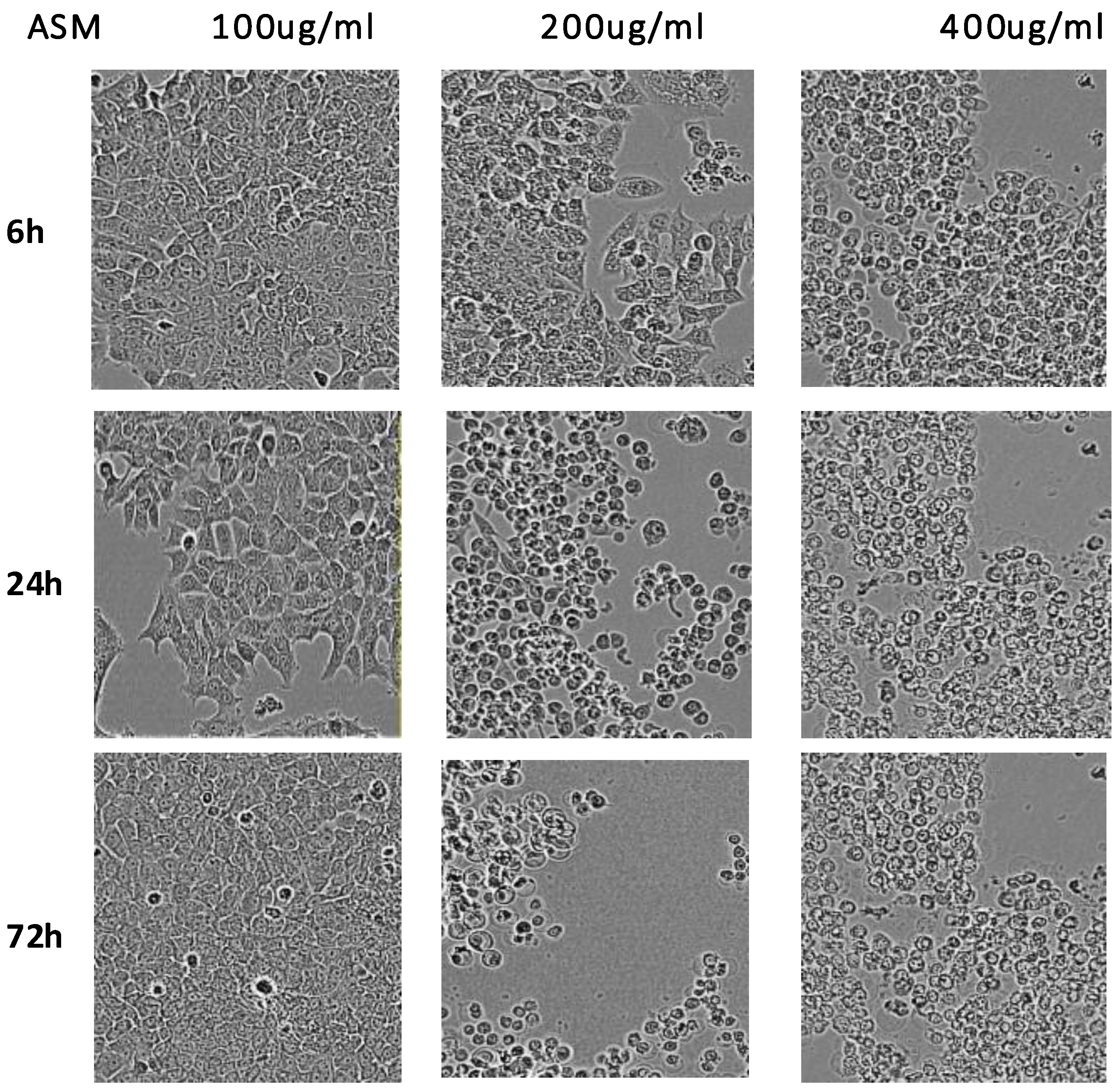 Preprints 230229 g006 Preprints 230229 g006