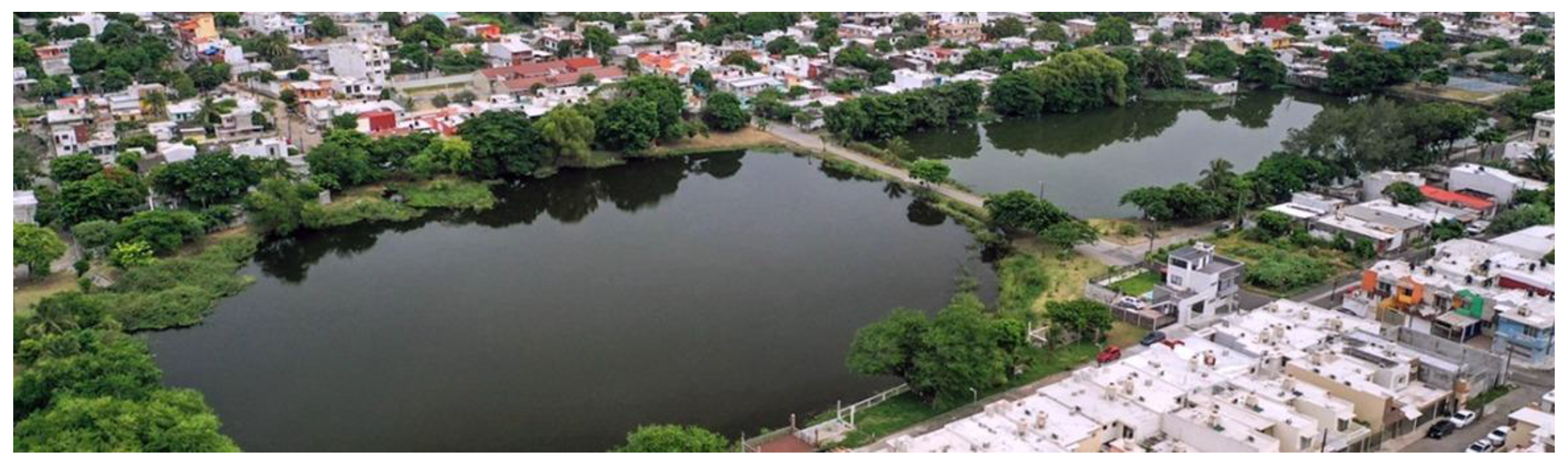 Preprints 147158 g006