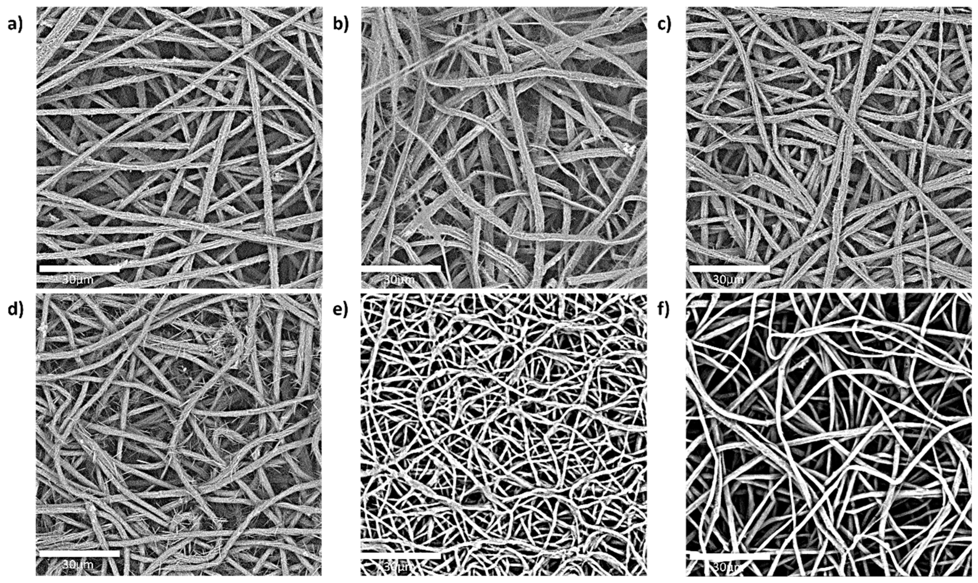 Preprints 154102 g002