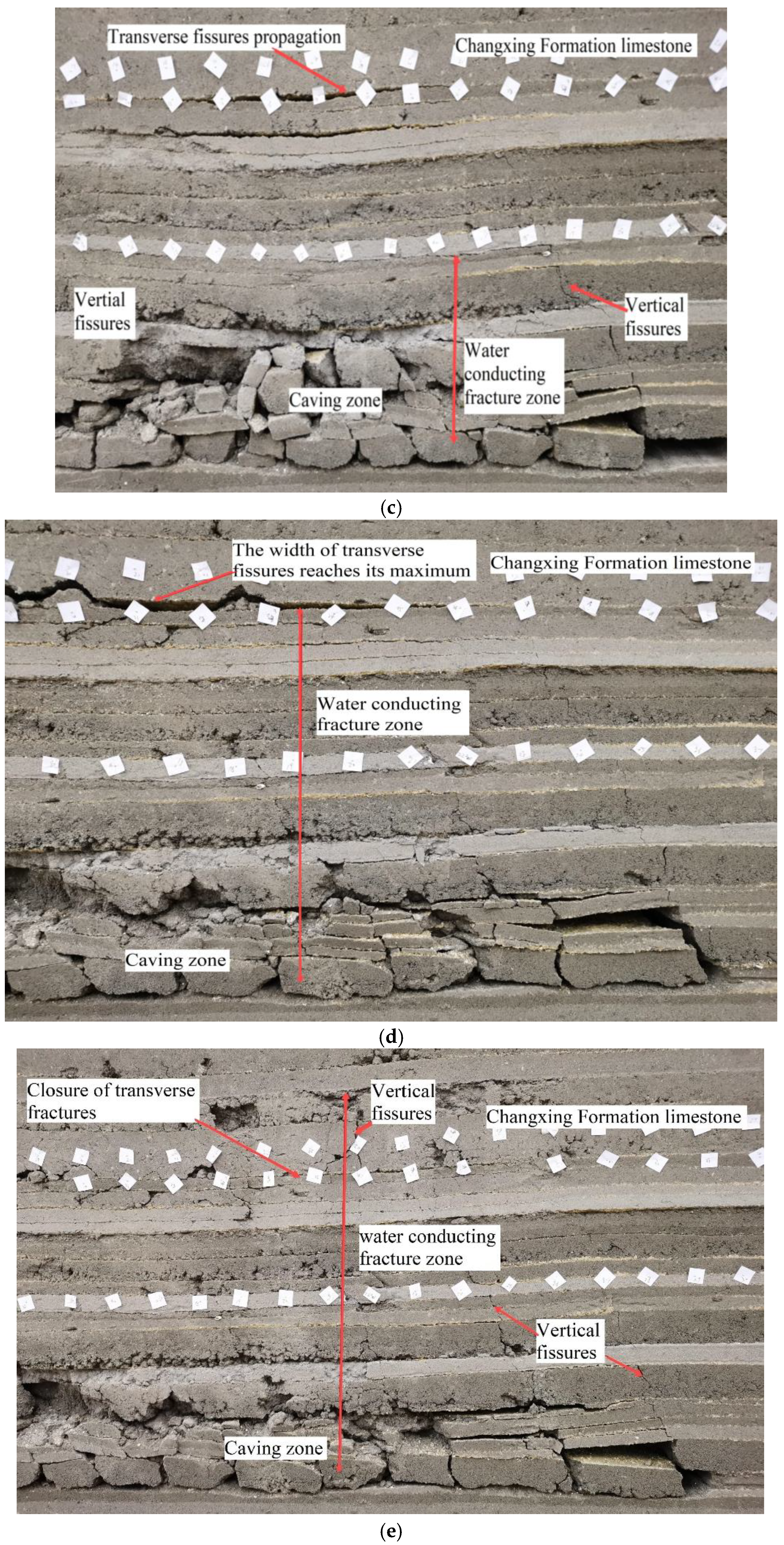 Preprints 162442 g007b
