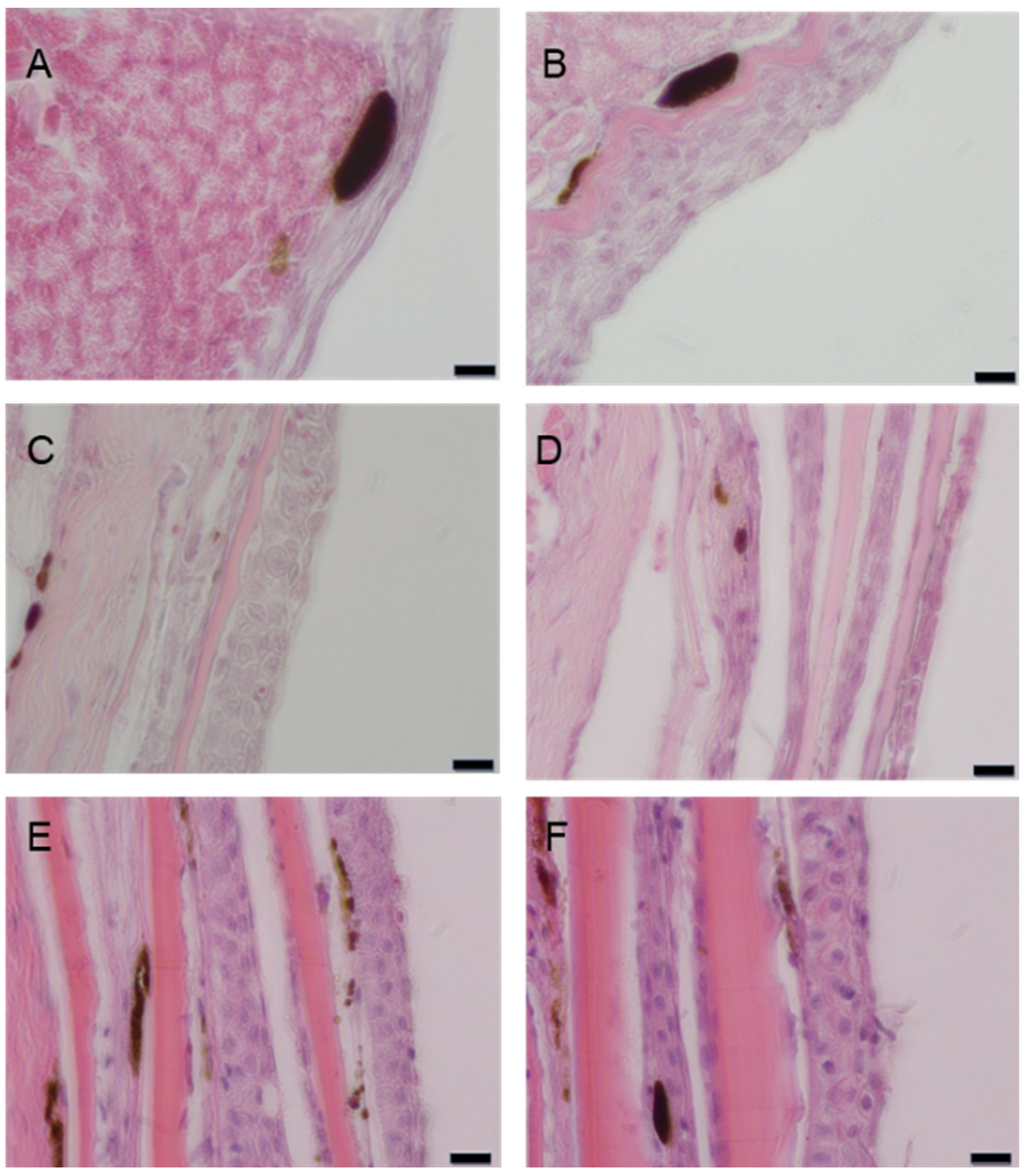 Preprints 171258 g002