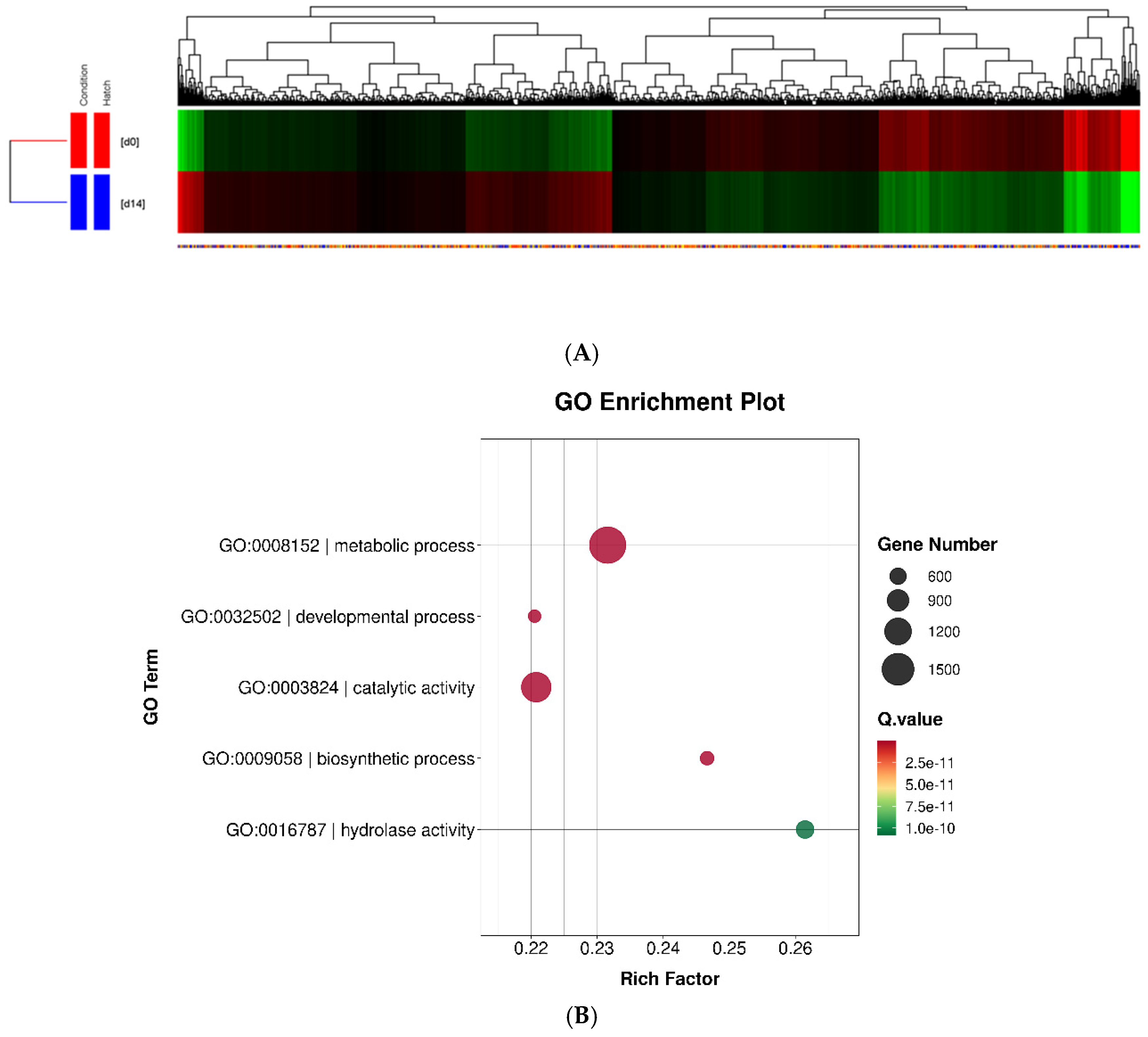 Preprints 171258 g004a