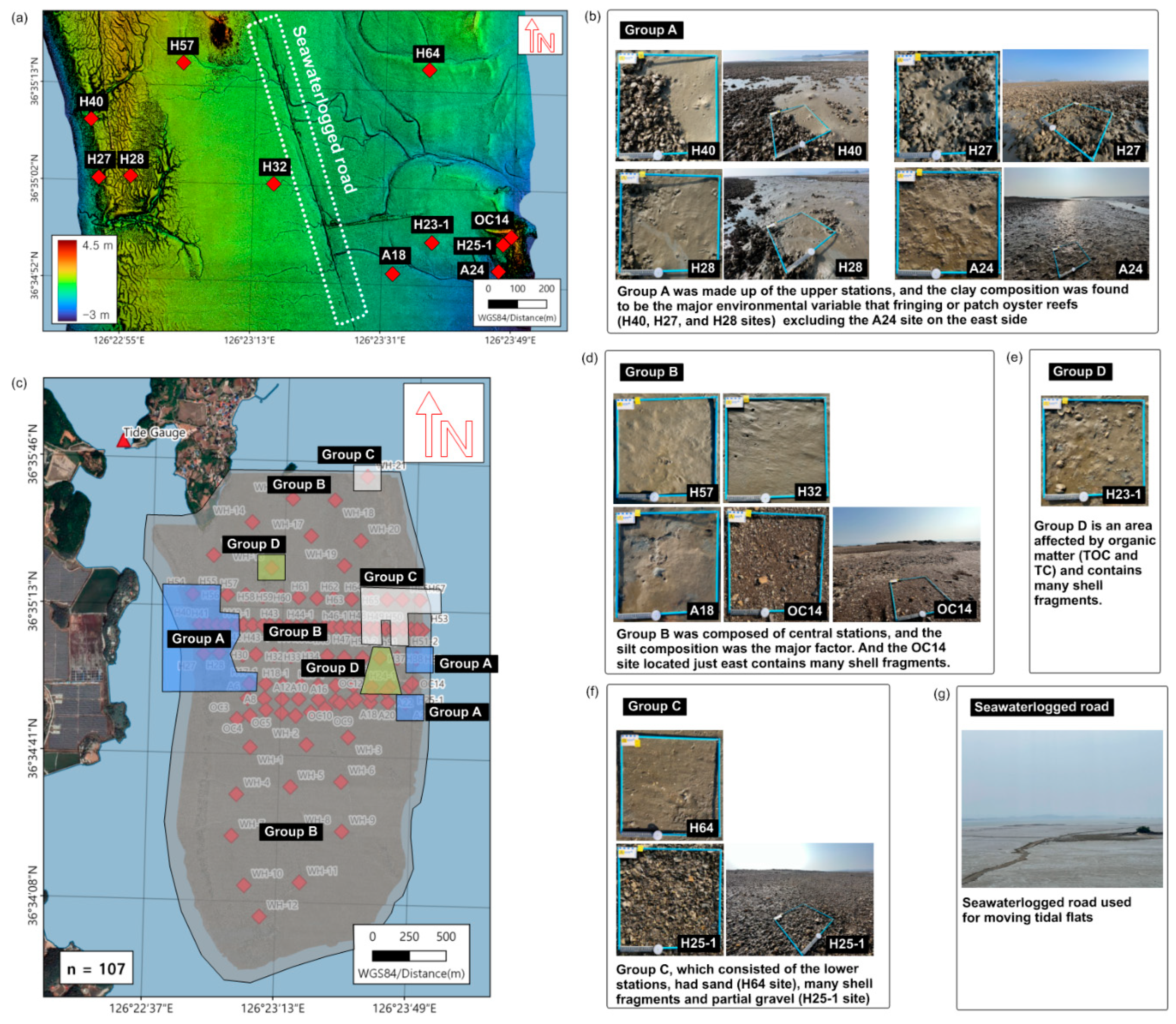 Preprints 83193 g012