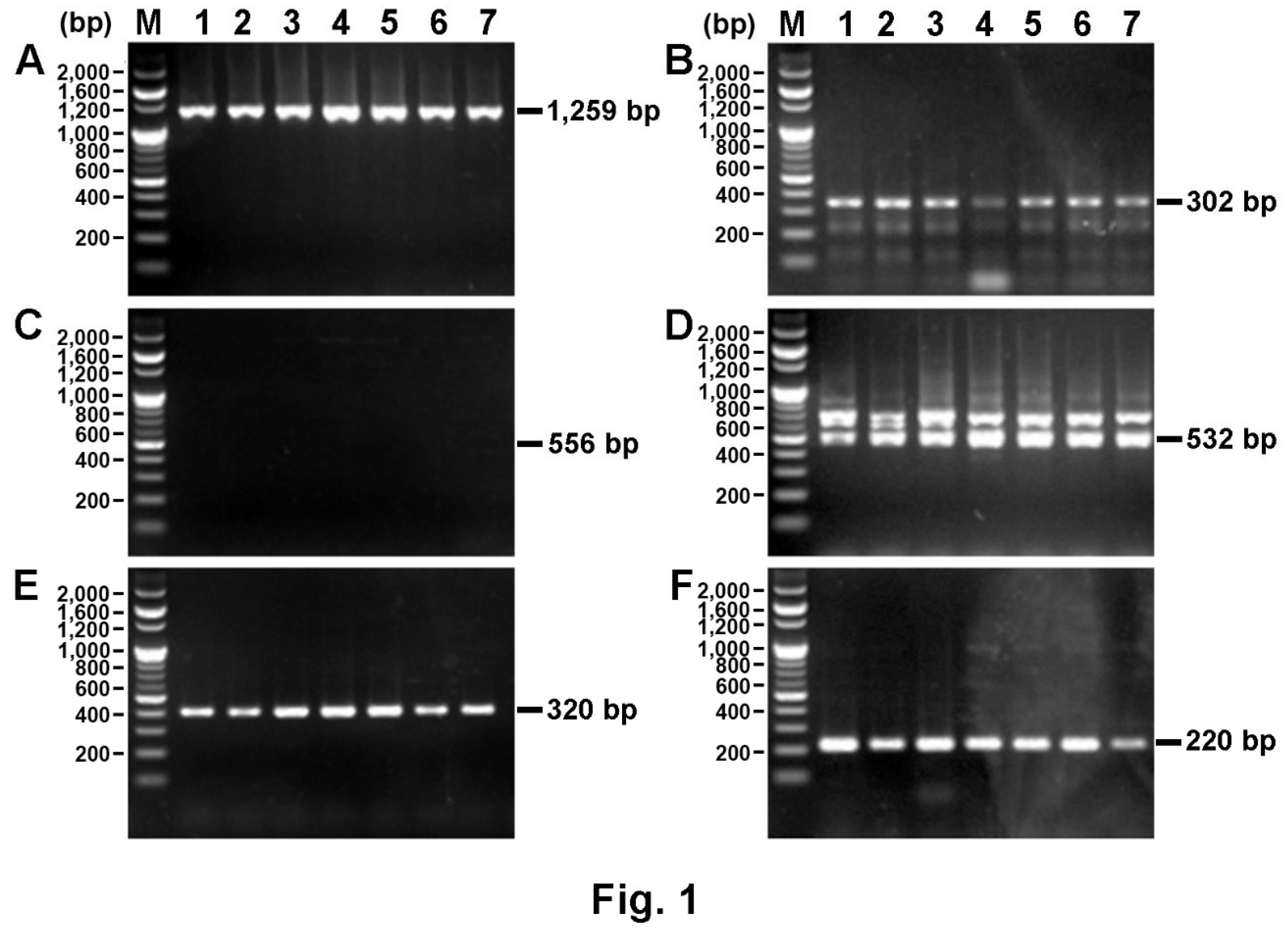 Preprints 219967 g001