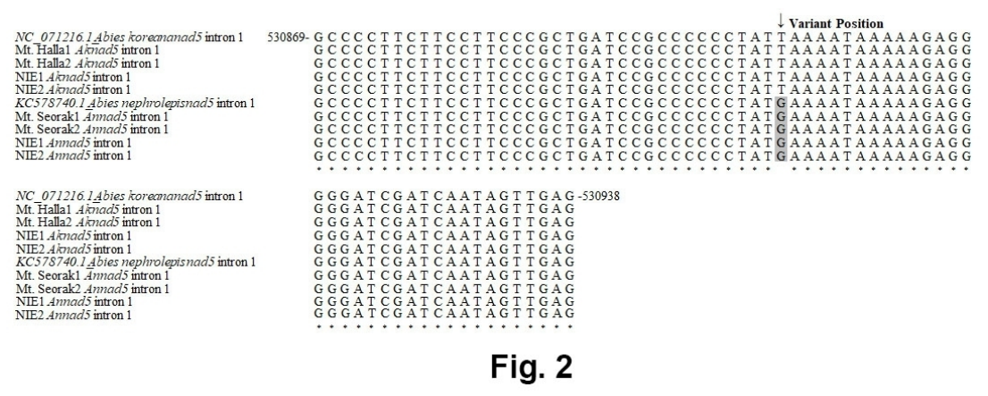 Preprints 219967 g002