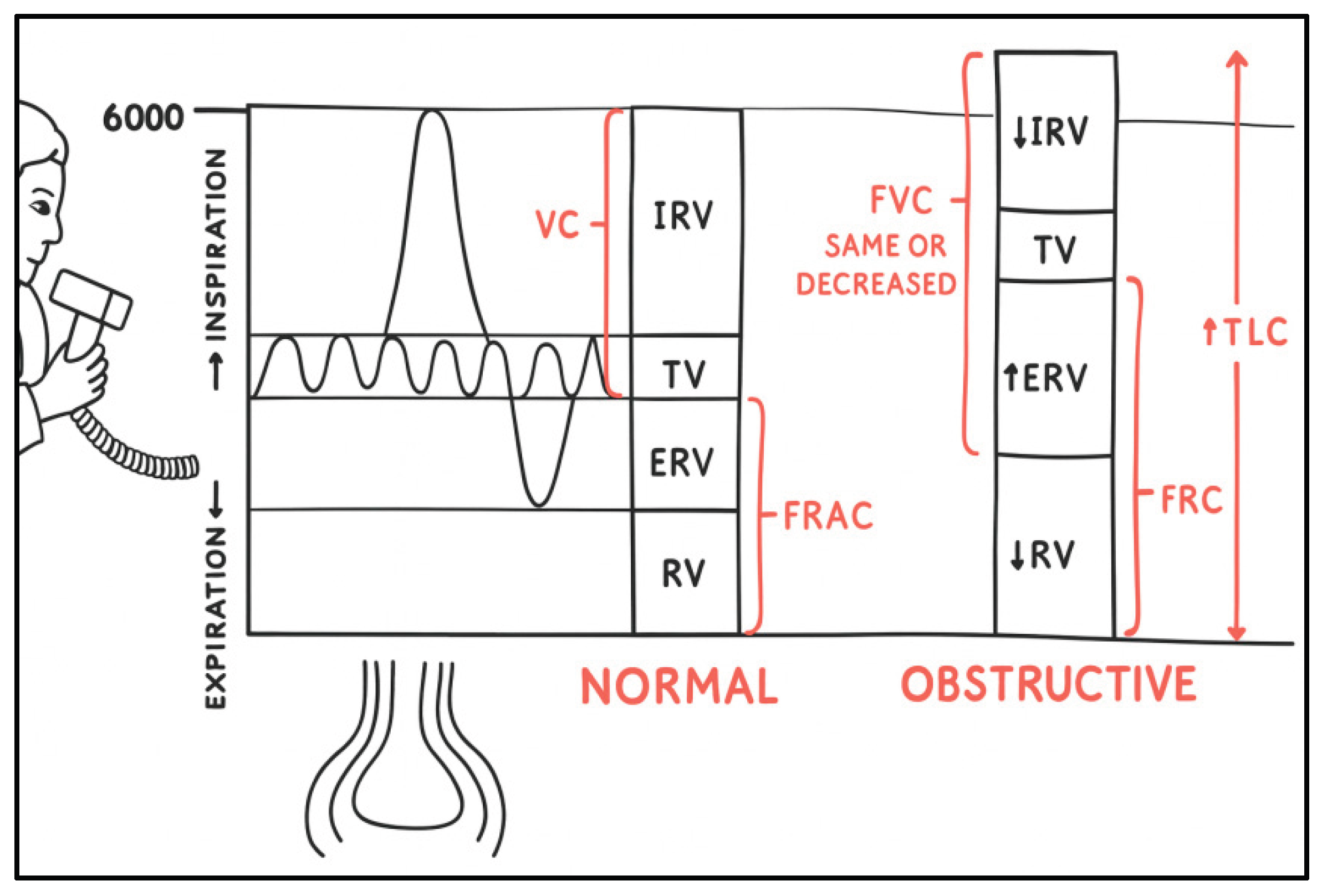 Preprints 210592 g001